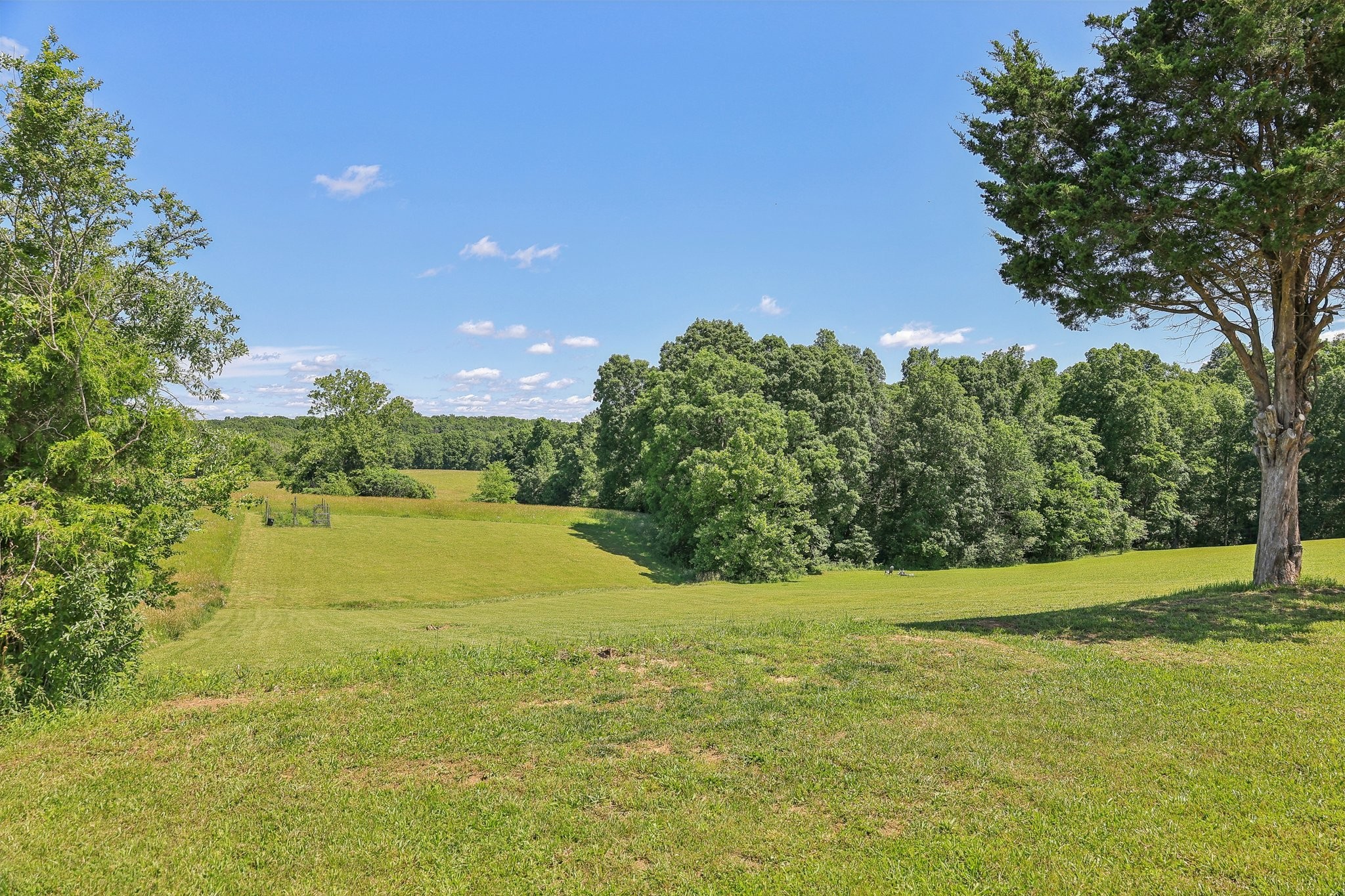 1219 Oak Grove Rd Property Photo 3