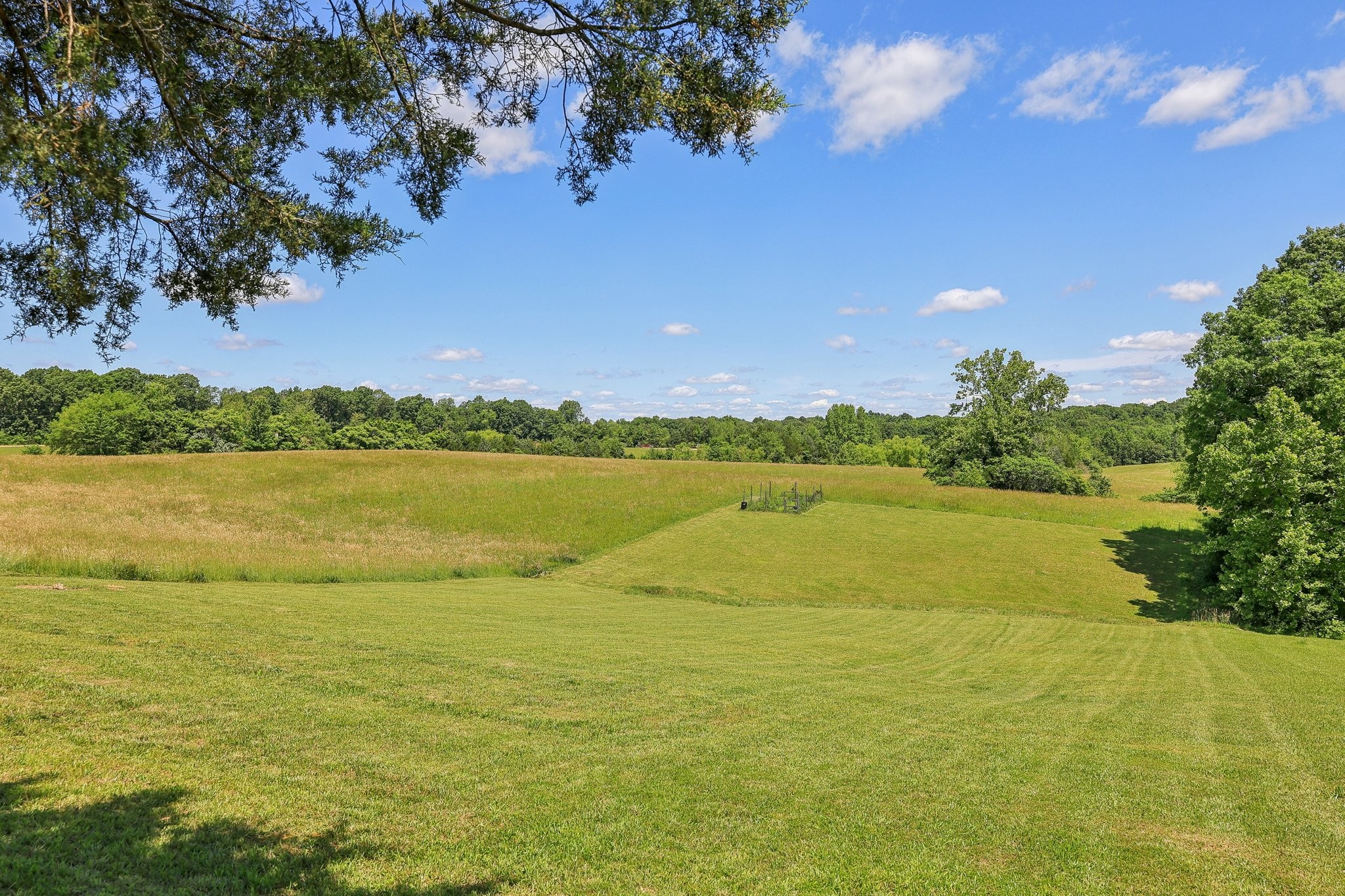 1219 Oak Grove Rd Property Photo 45