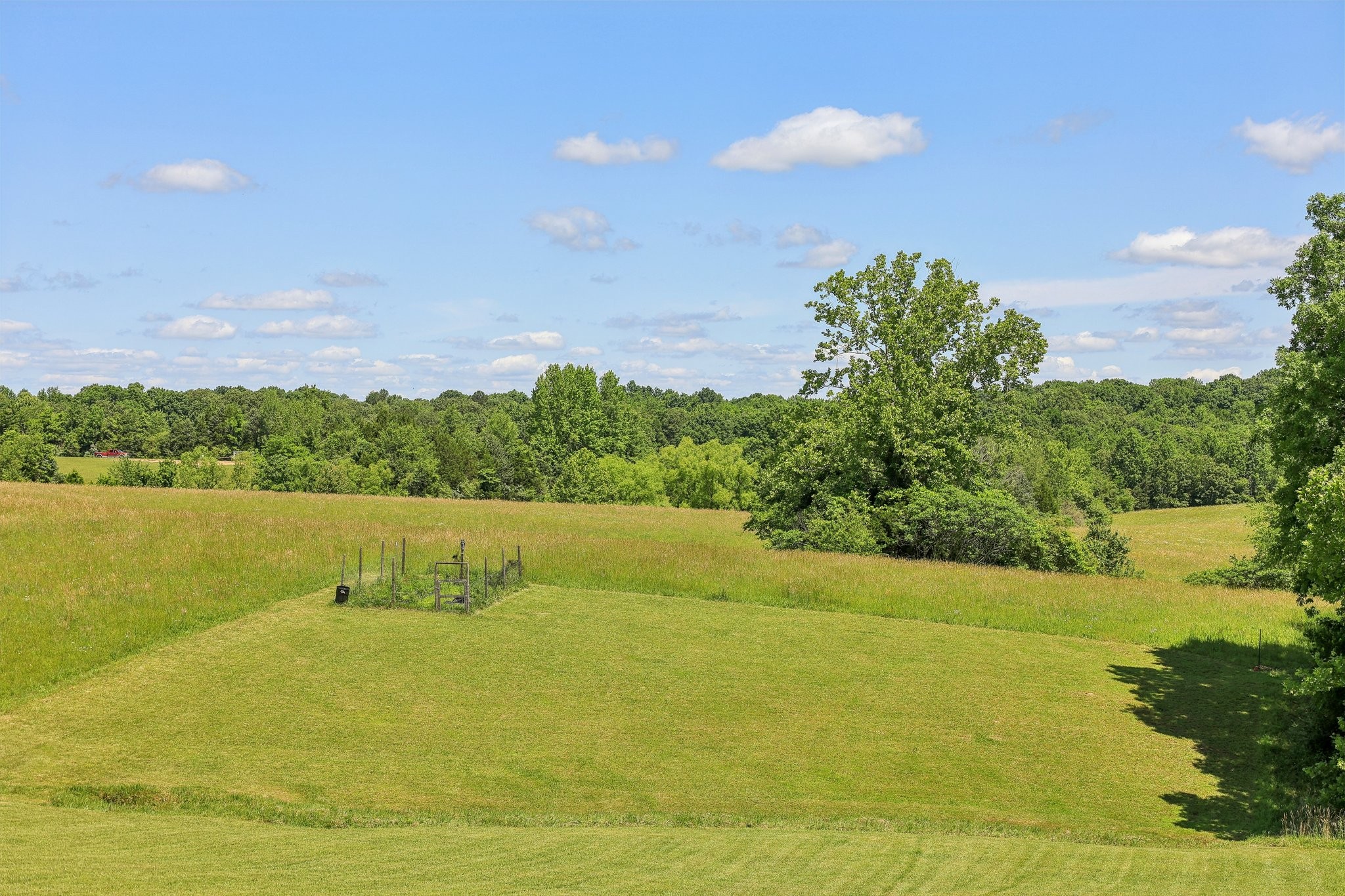1219 Oak Grove Rd Property Photo 46