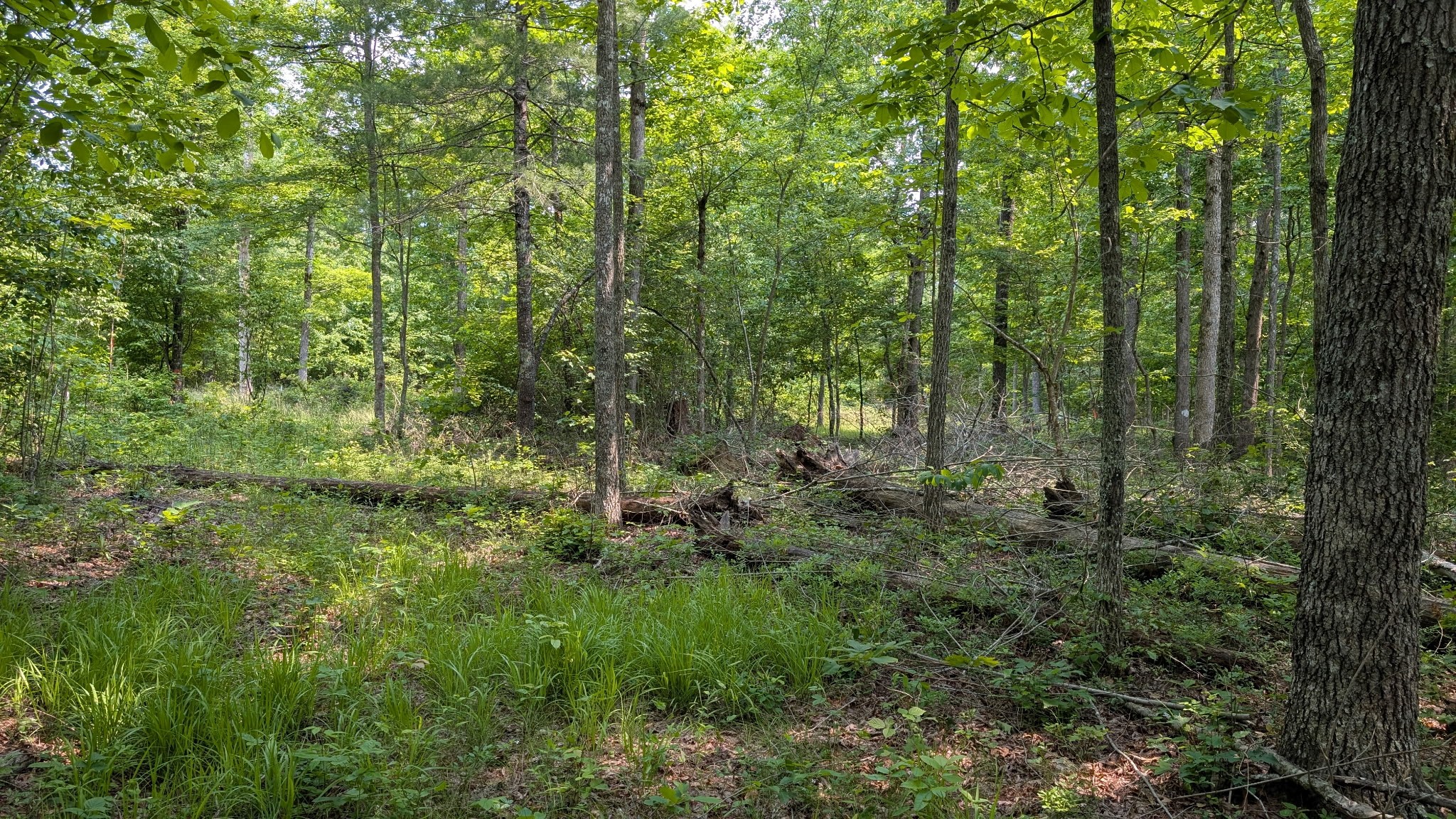 6152 Tomahawk Dr Property Photo 6