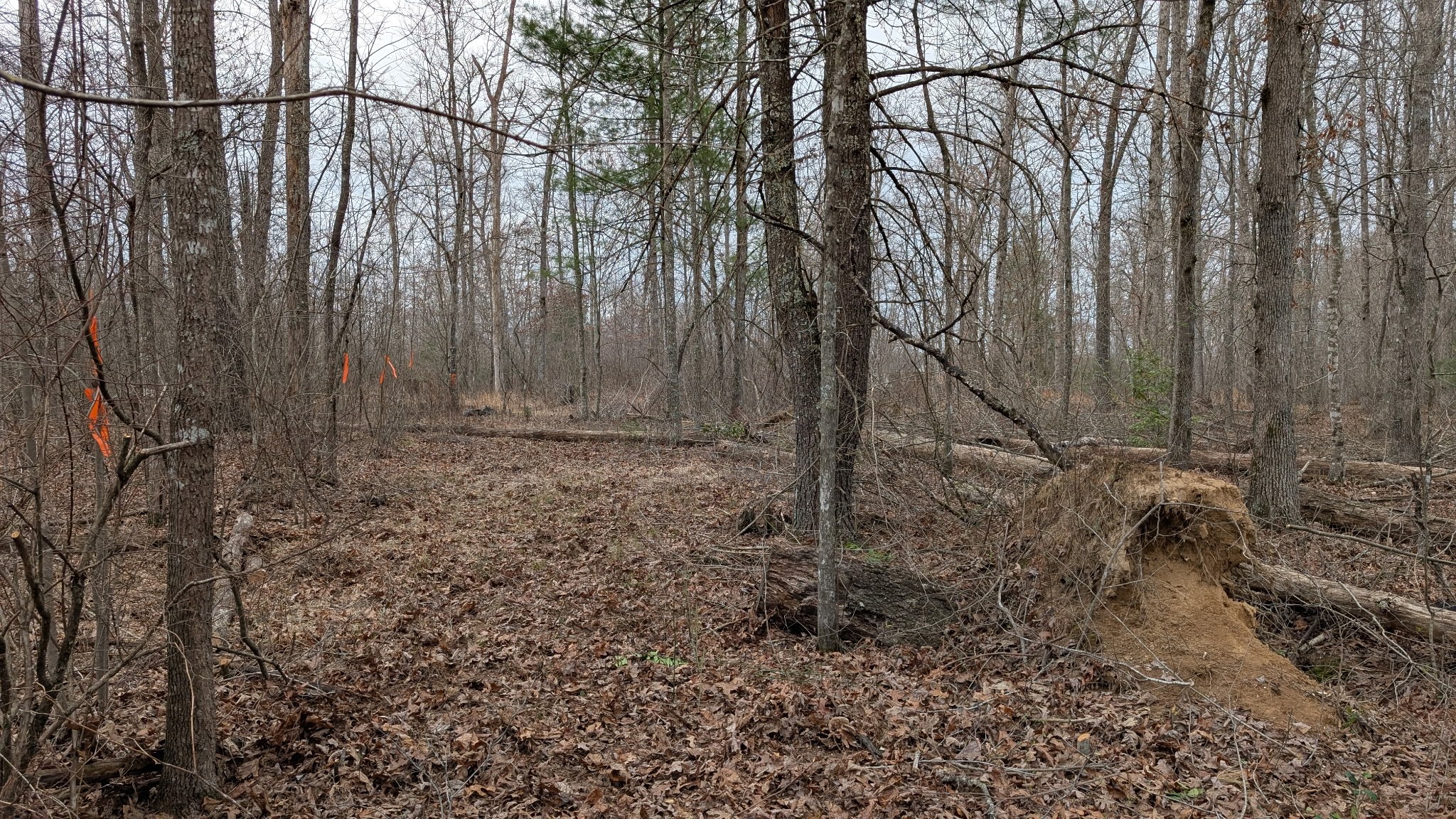 6152 Tomahawk Dr Property Photo 11