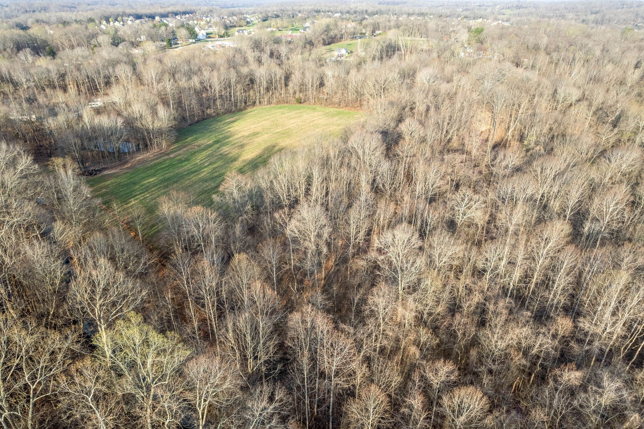 880 Wiley Brown Road Property Photo 3