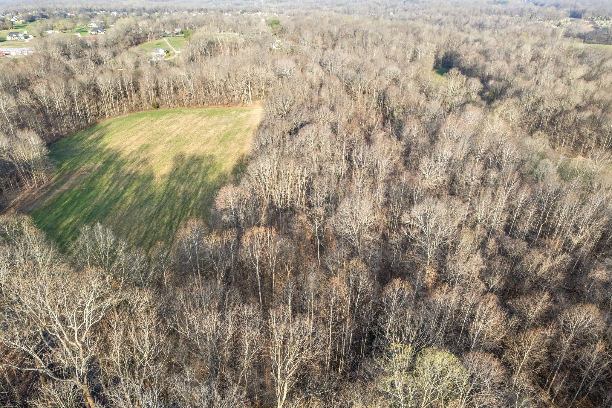 880 Wiley Brown Road Property Photo 4