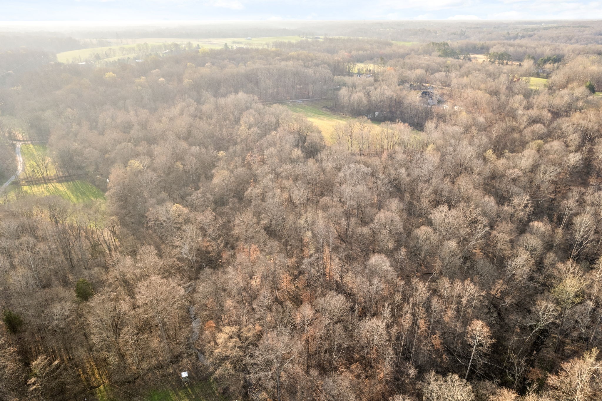 880 Wiley Brown Road Property Photo 10