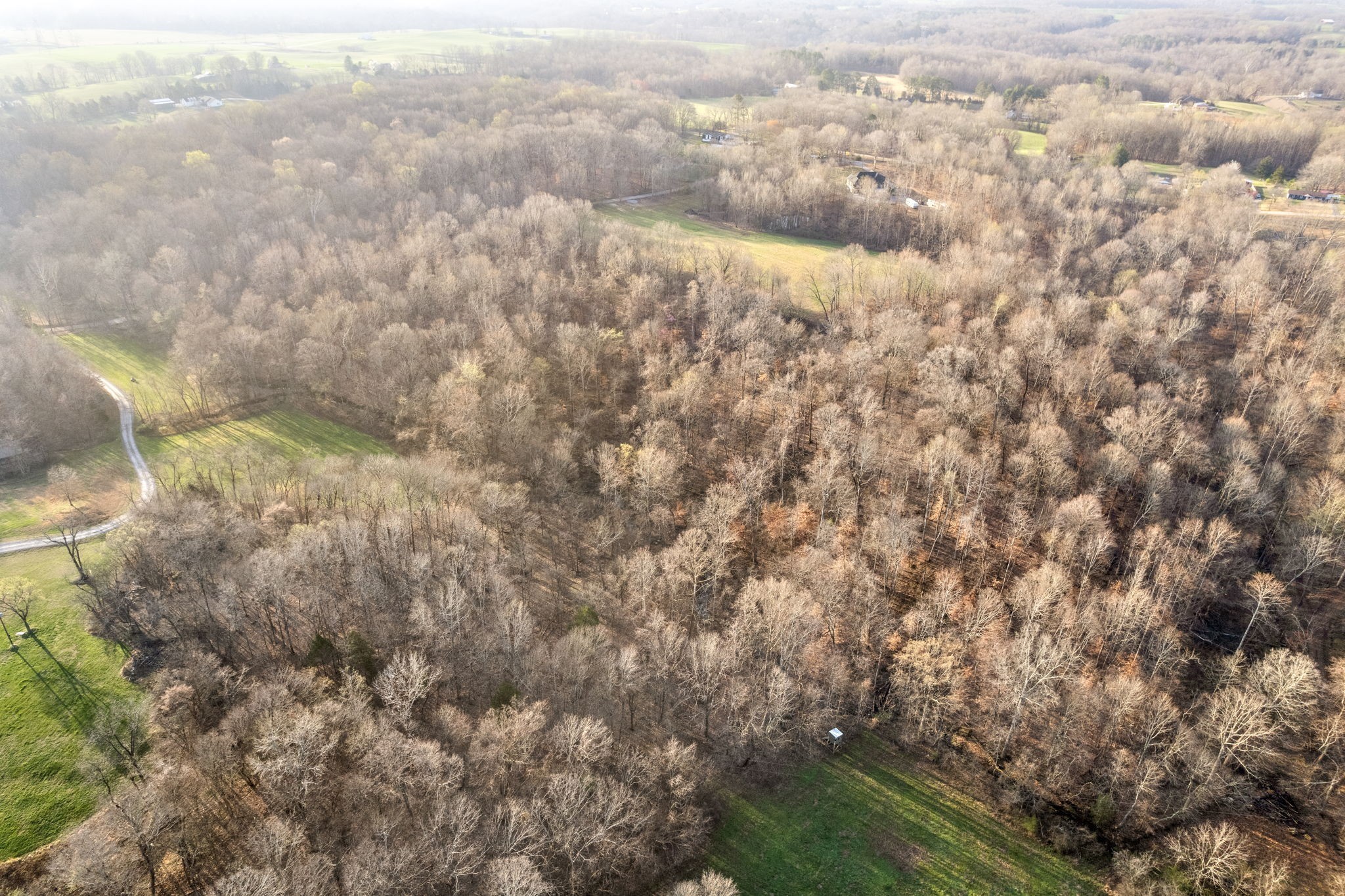 880 Wiley Brown Road Property Photo 11
