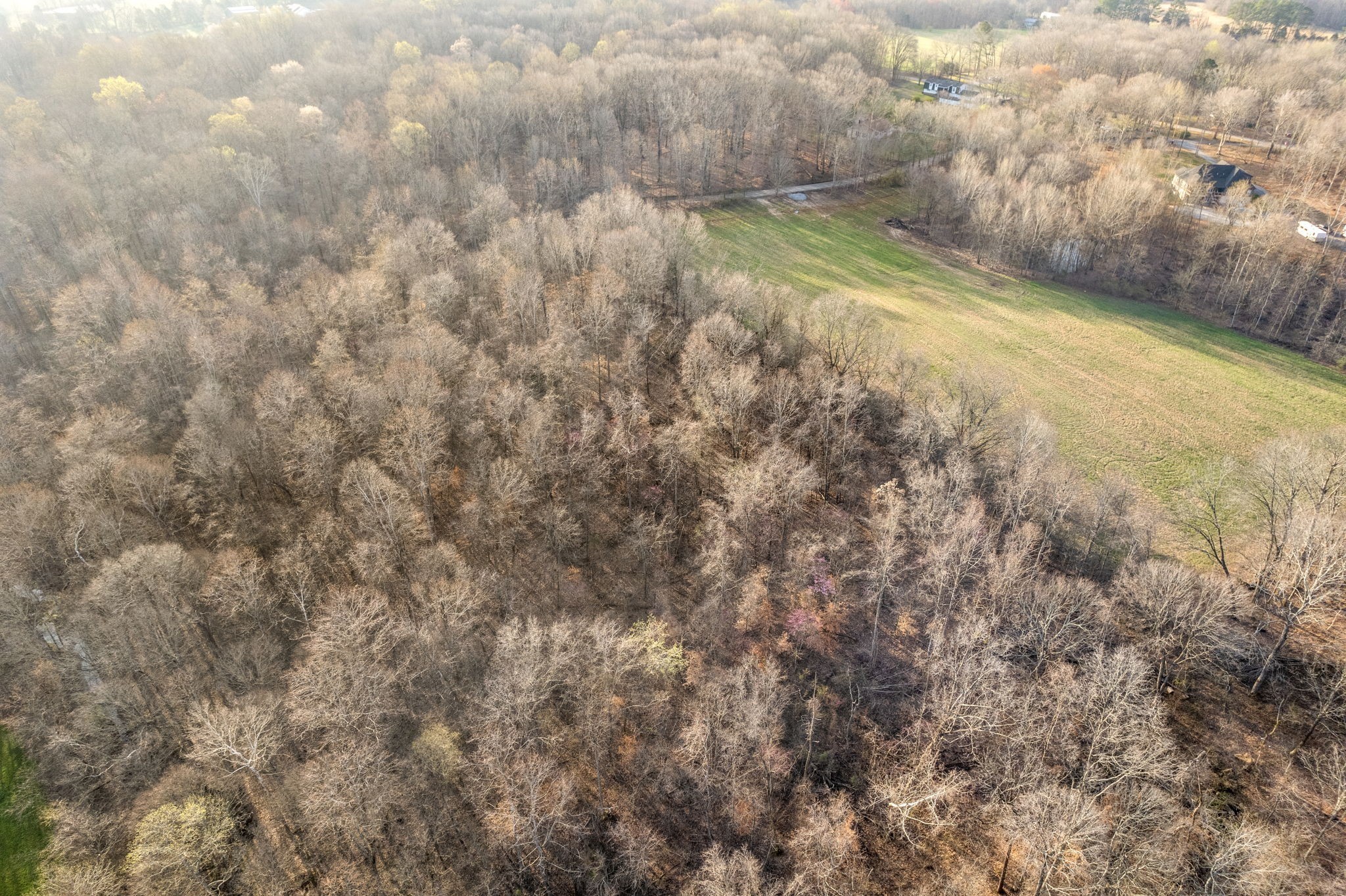880 Wiley Brown Road Property Photo 12