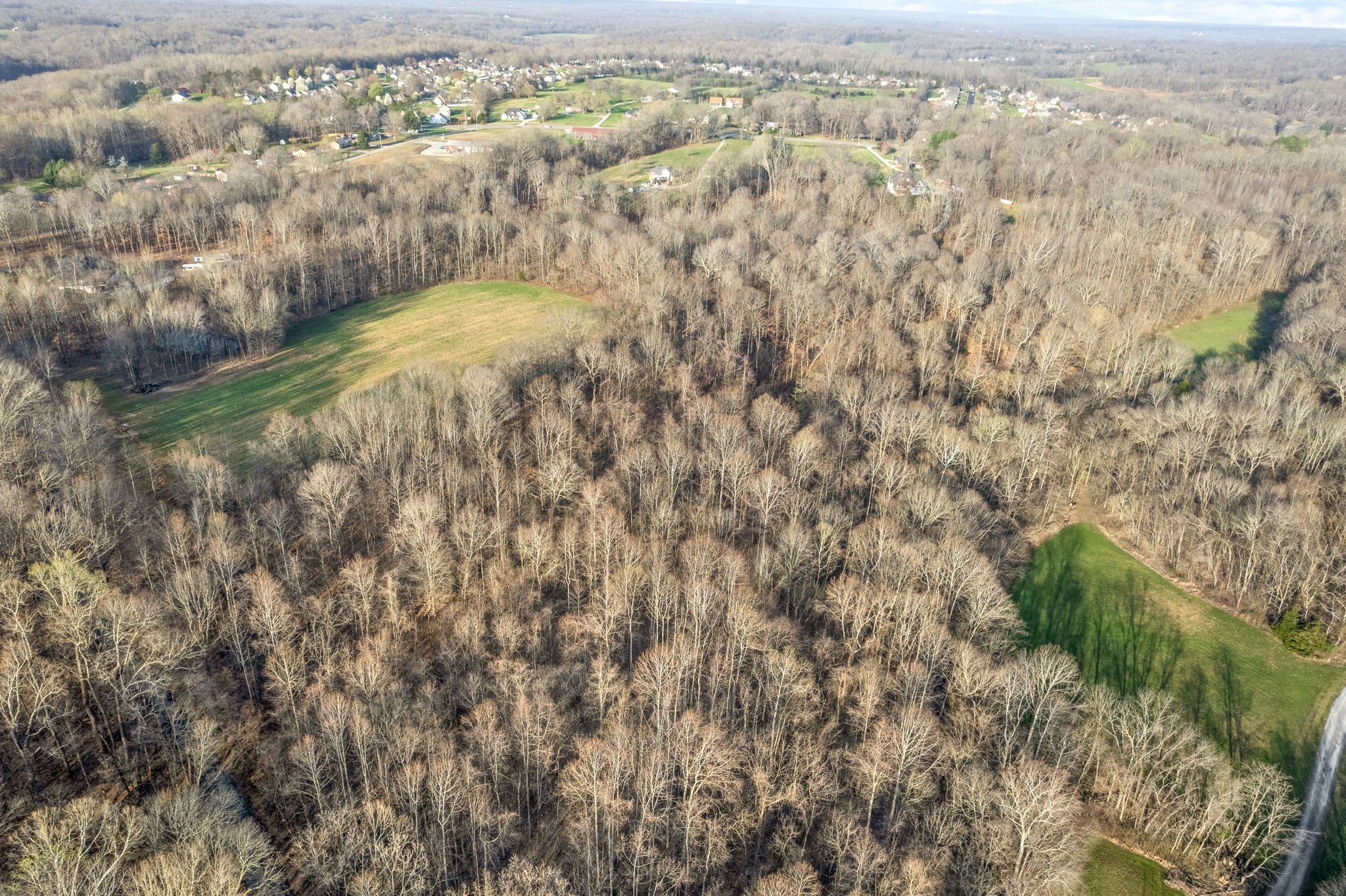 880 Wiley Brown Road Property Photo 13