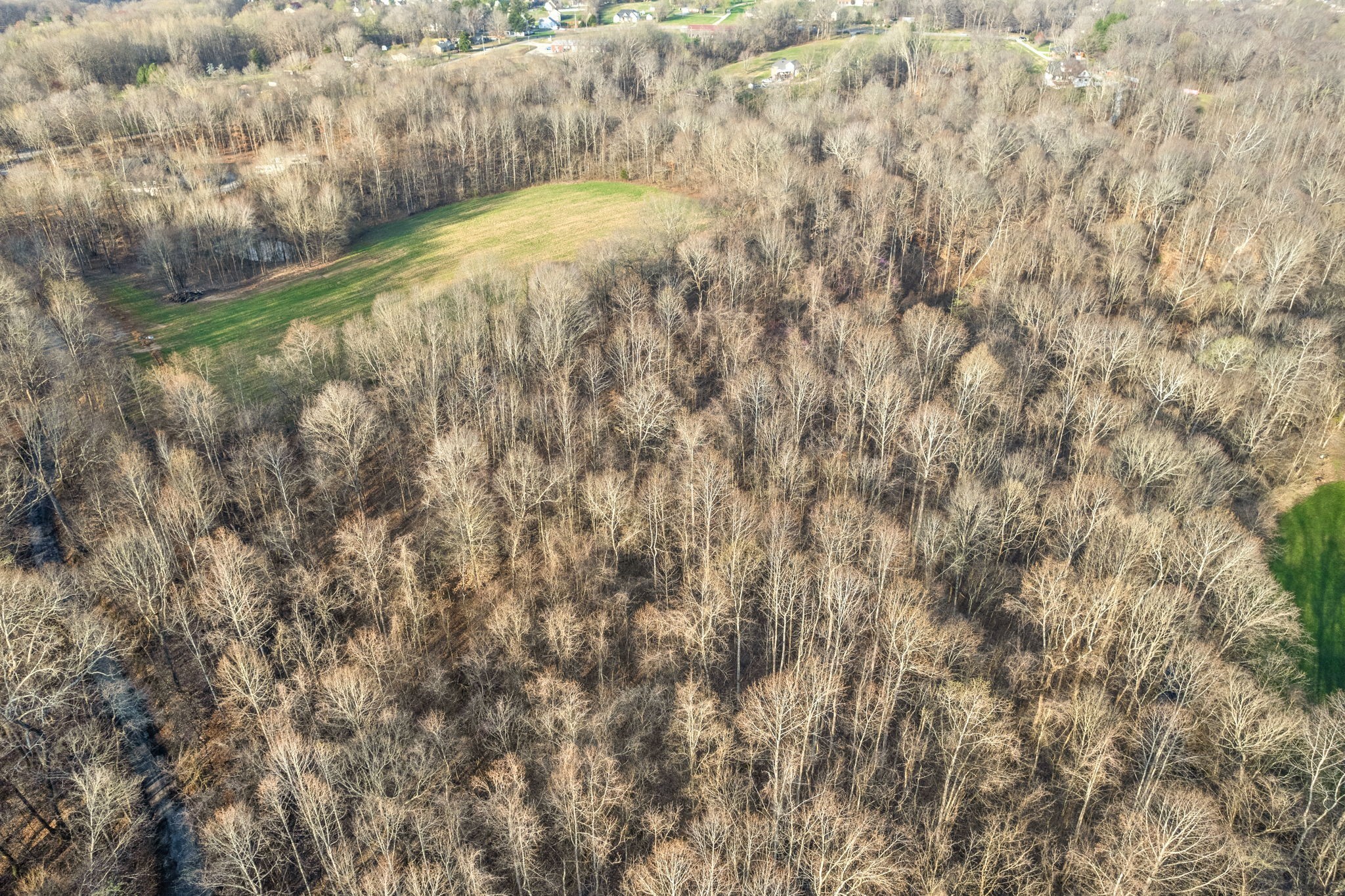 880 Wiley Brown Road Property Photo 14