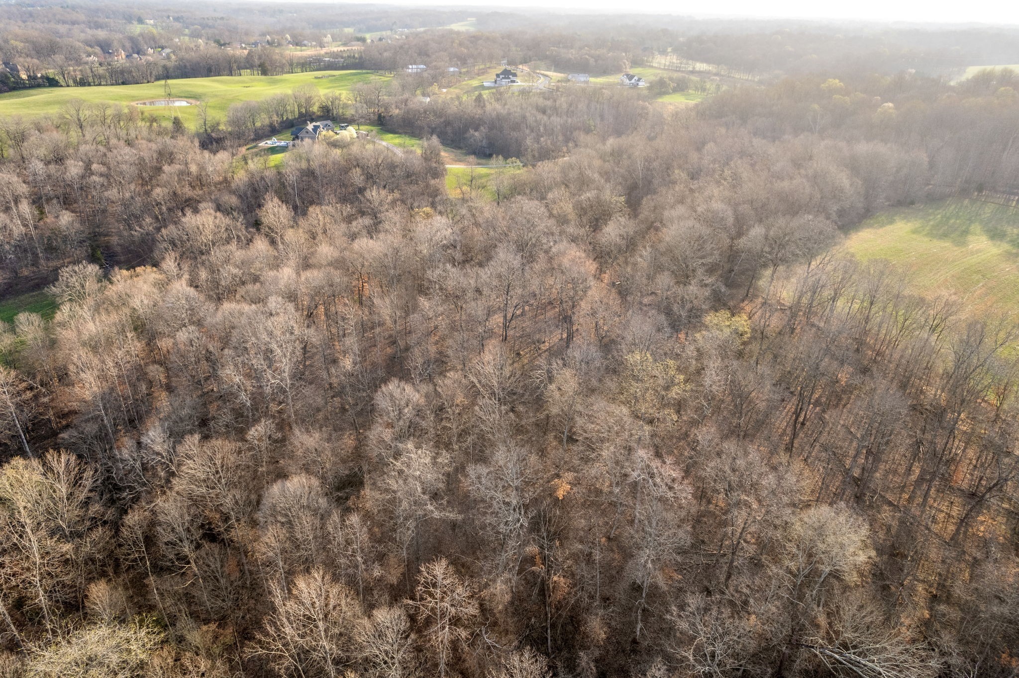 880 Wiley Brown Road Property Photo 17