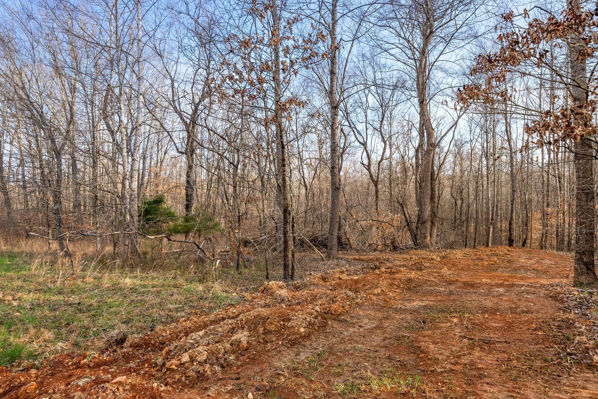 880 Wiley Brown Road Property Photo 18