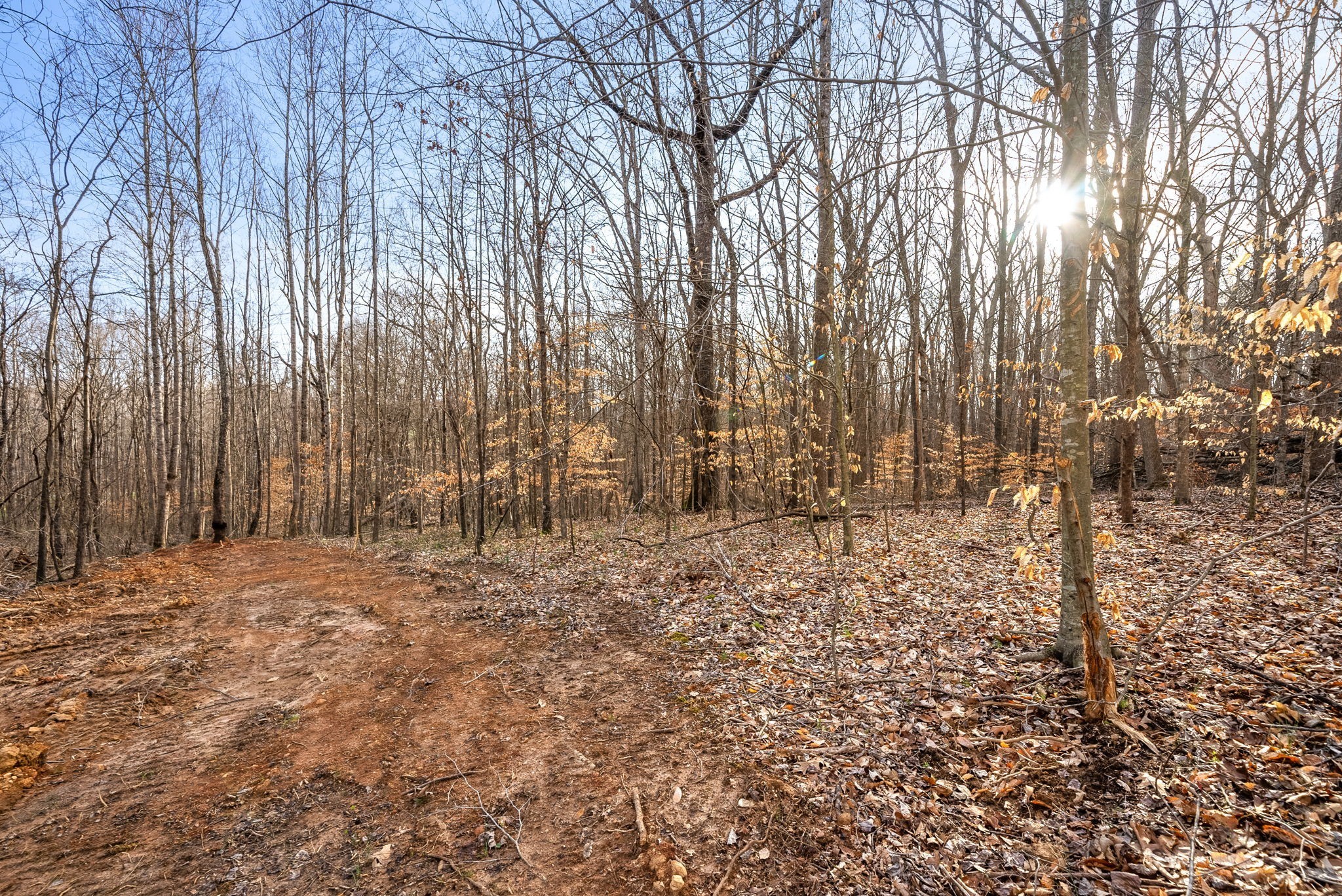 880 Wiley Brown Road Property Photo 19