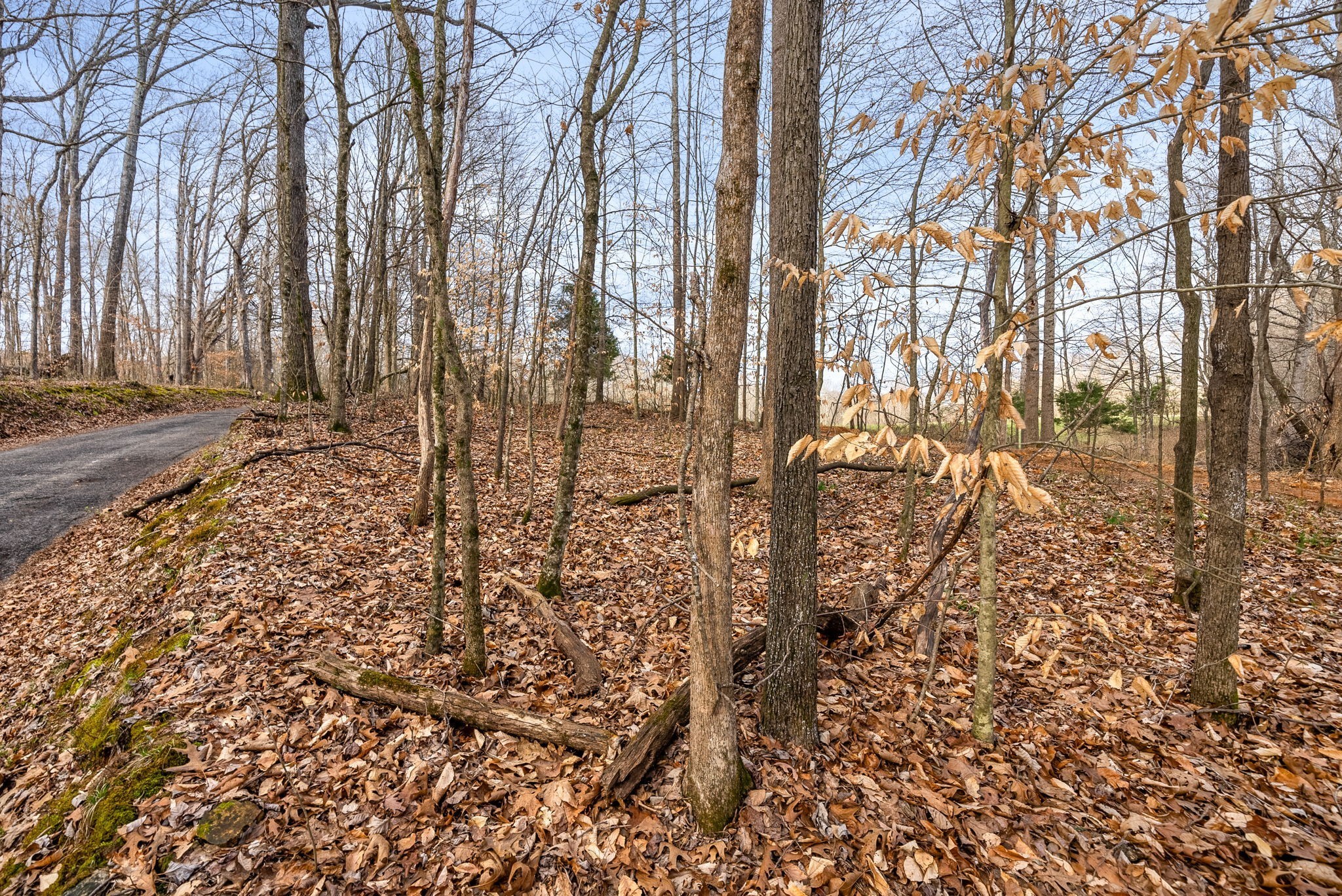 880 Wiley Brown Road Property Photo 20