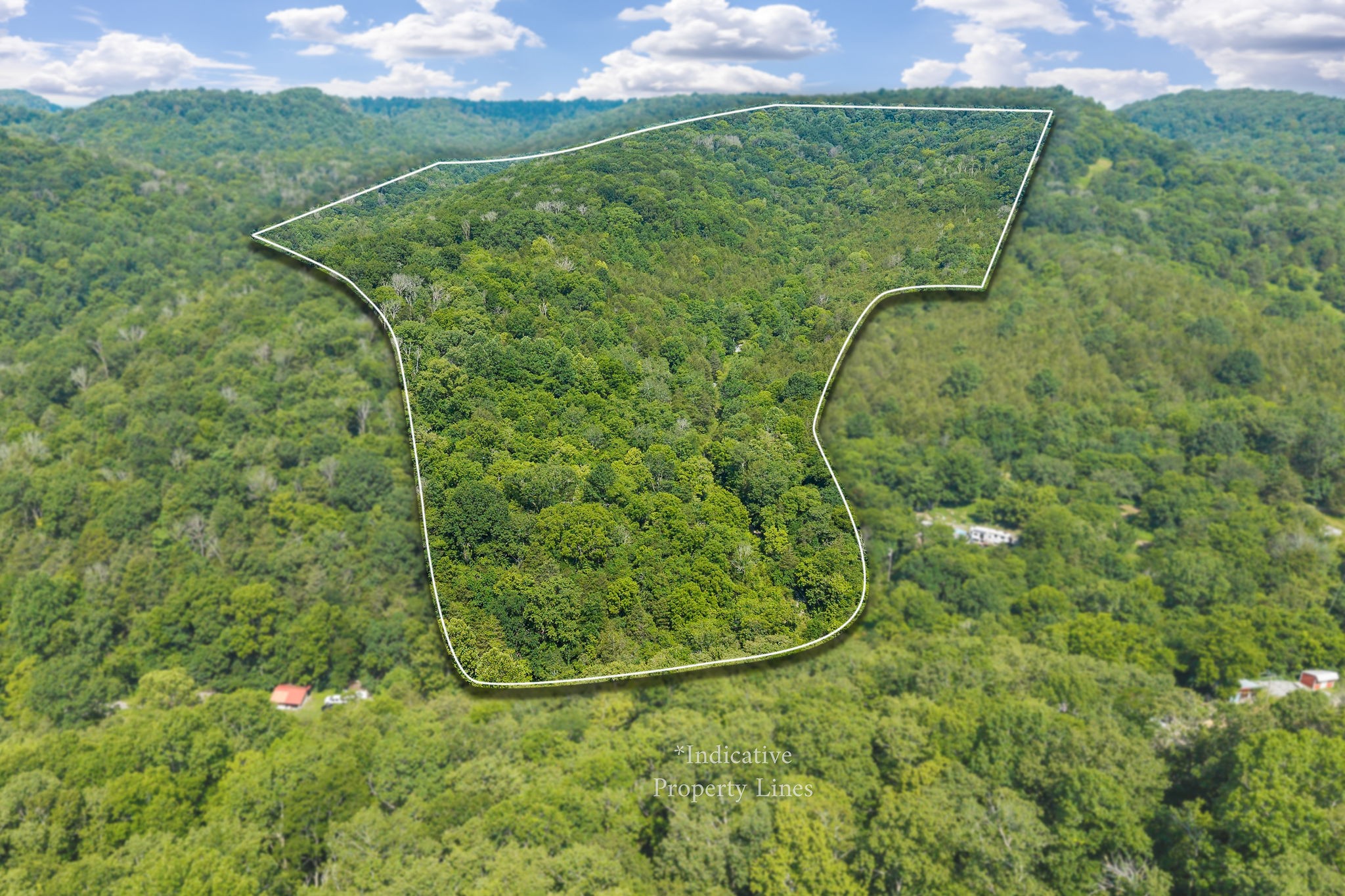 441 Pumpkin Hollow Rd Property Photo 2