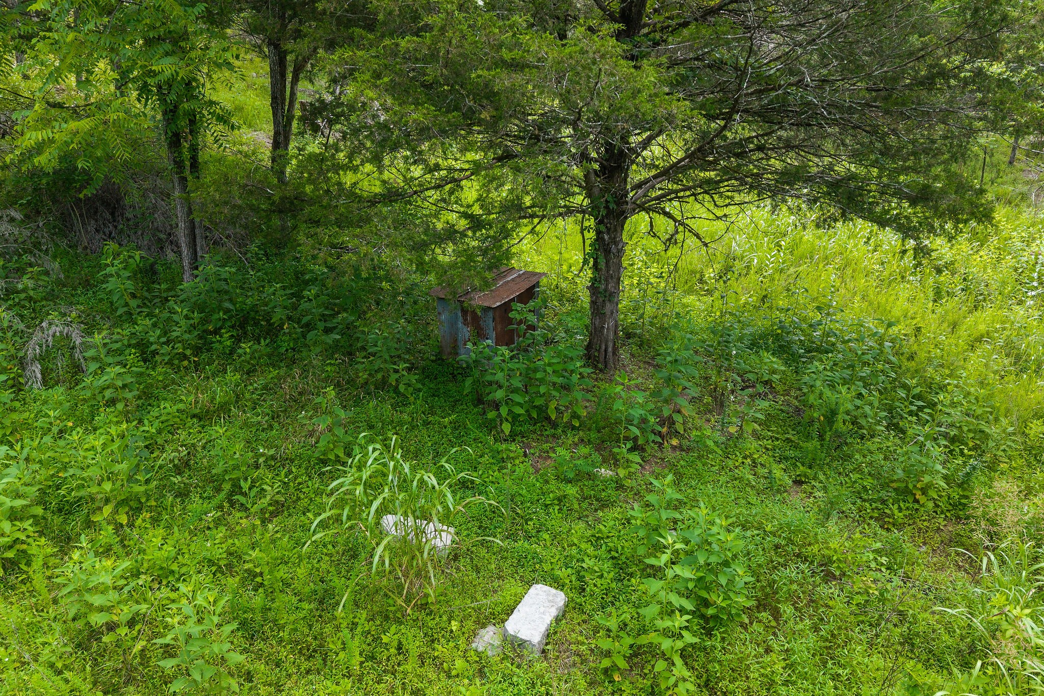441 Pumpkin Hollow Rd Property Photo 6