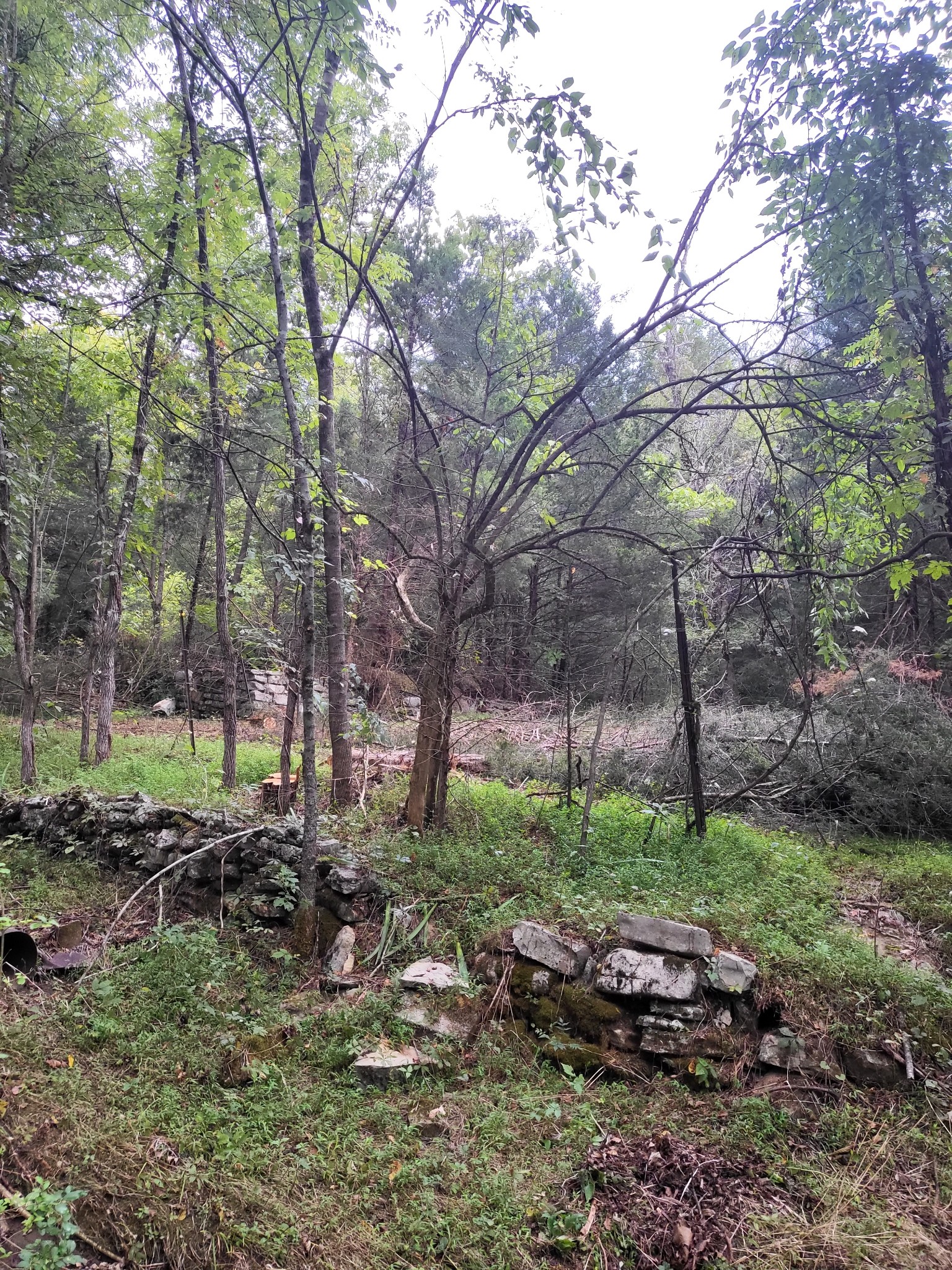 441 Pumpkin Hollow Rd Property Photo 16