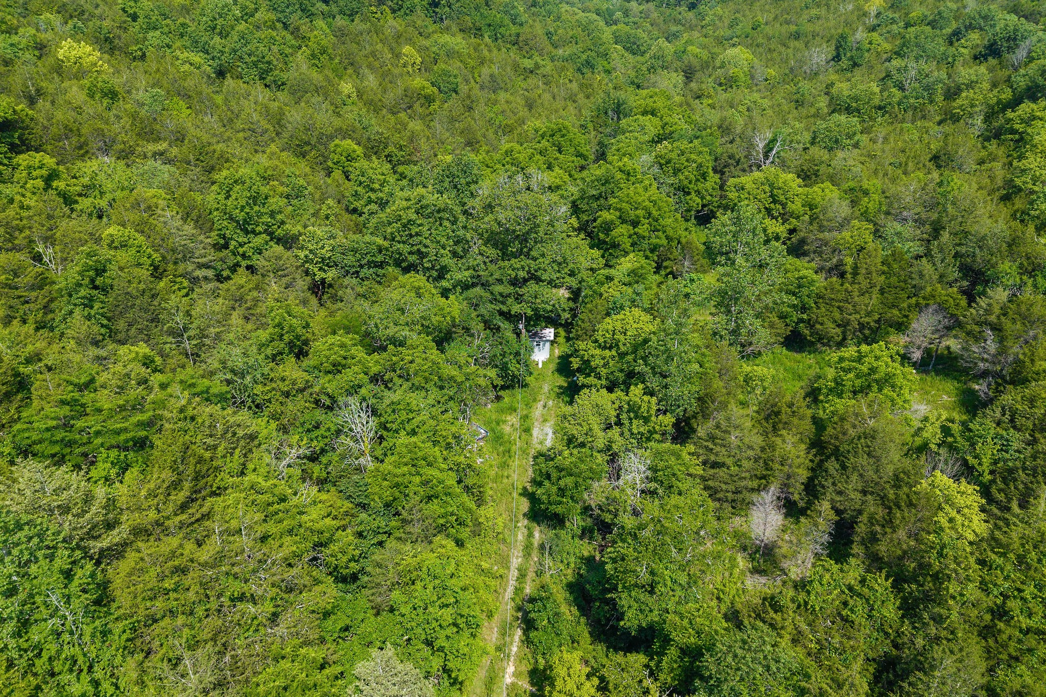 441 Pumpkin Hollow Rd Property Photo 17