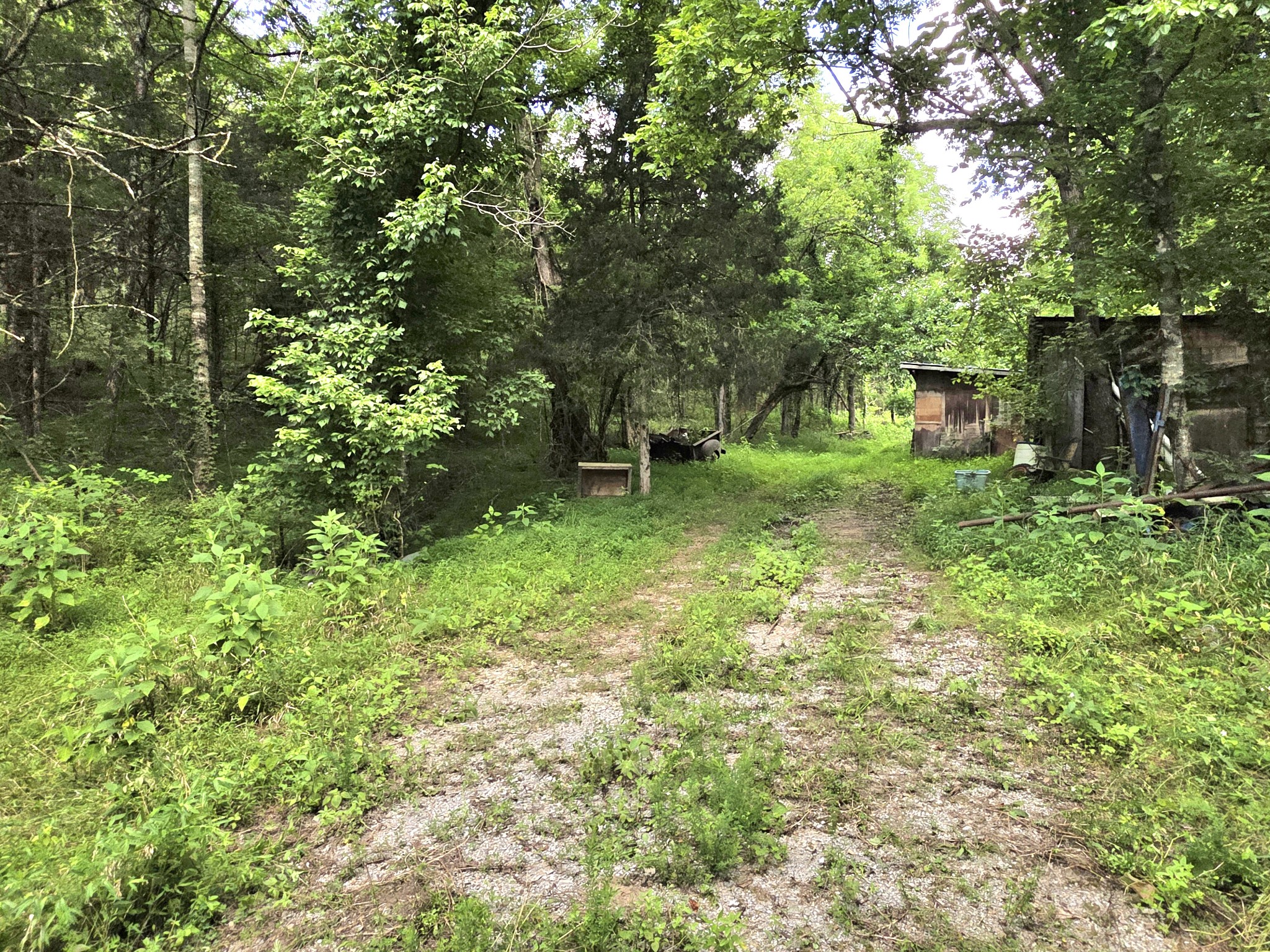 441 Pumpkin Hollow Rd Property Photo 22