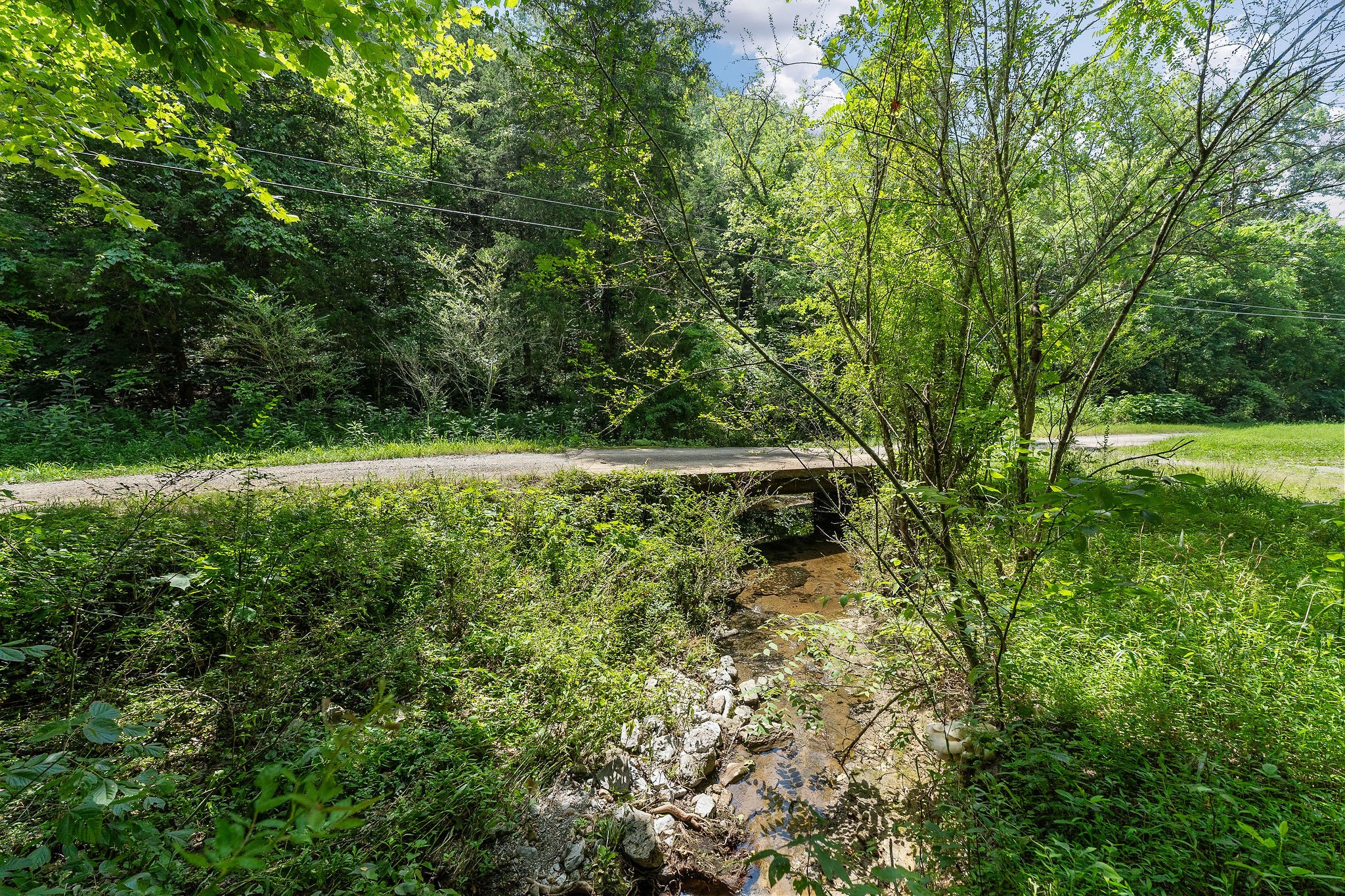 441 Pumpkin Hollow Rd Property Photo 24