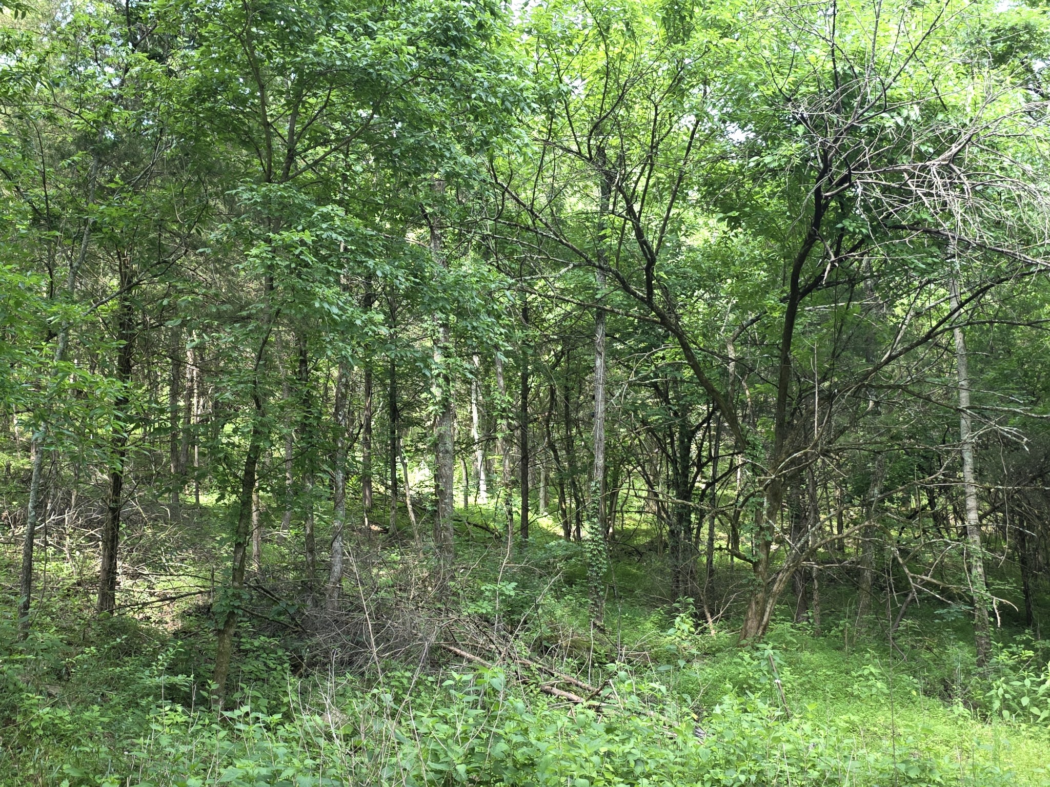 441 Pumpkin Hollow Rd Property Photo 31