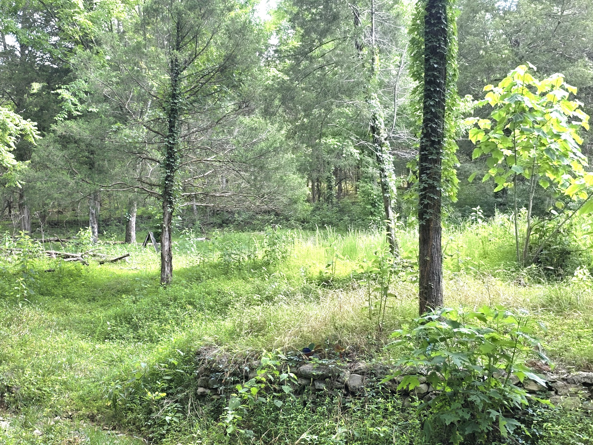 441 Pumpkin Hollow Rd Property Photo 33