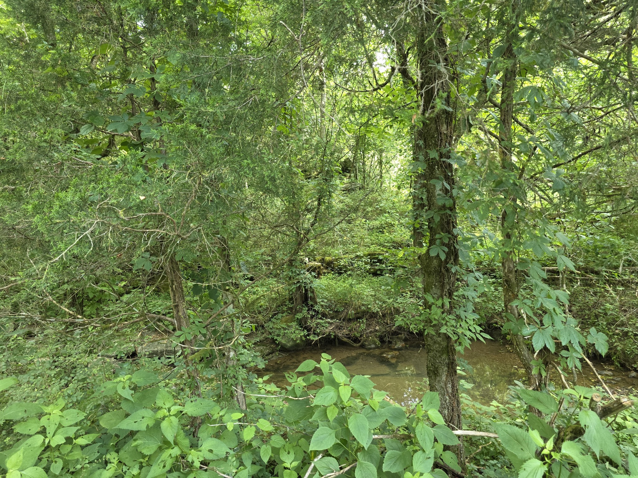 441 Pumpkin Hollow Rd Property Photo 34