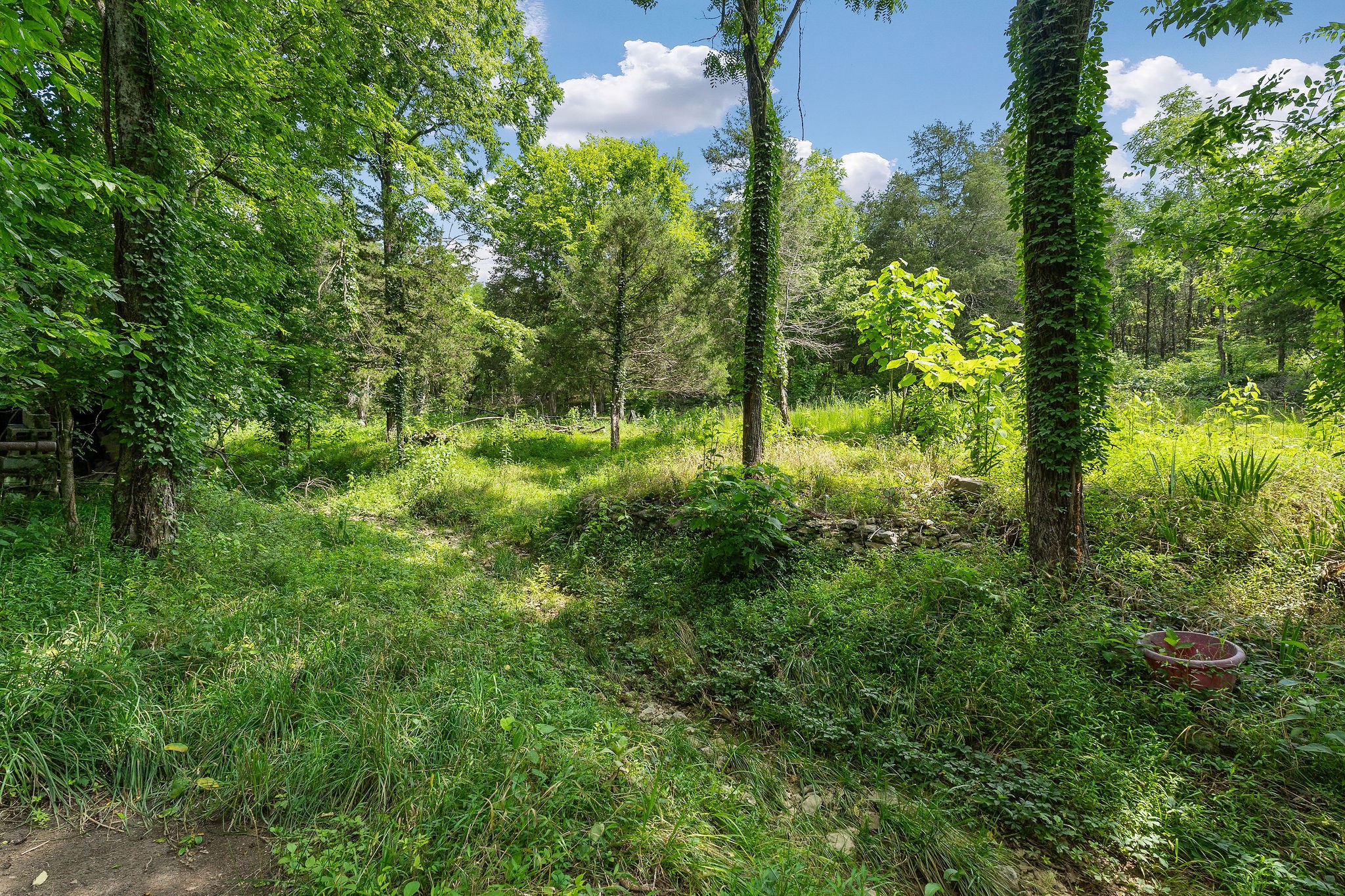 441 Pumpkin Hollow Rd Property Photo 35