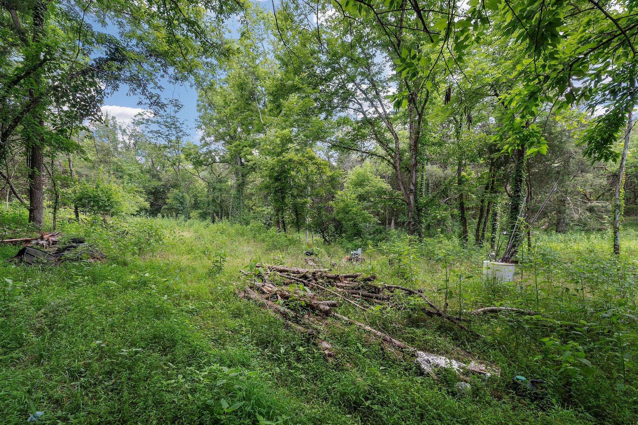 441 Pumpkin Hollow Rd Property Photo 38