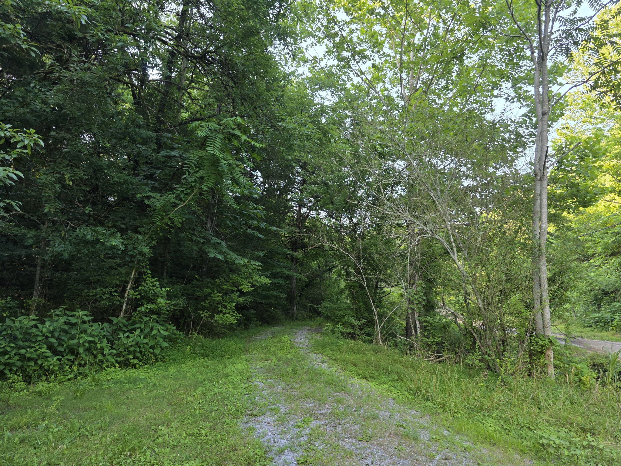 441 Pumpkin Hollow Rd Property Photo 39