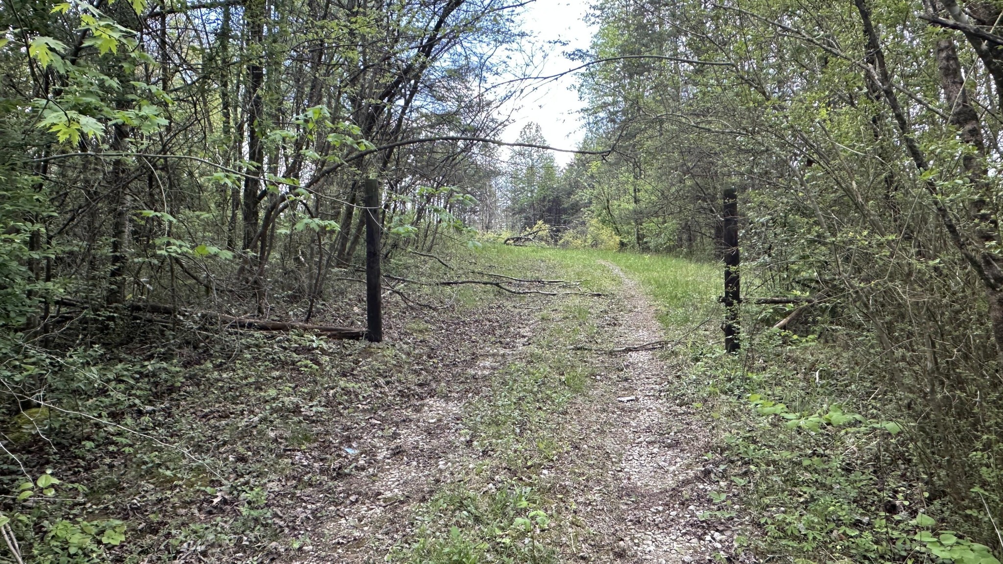 556 Lee Hargis Road Property Photo 1