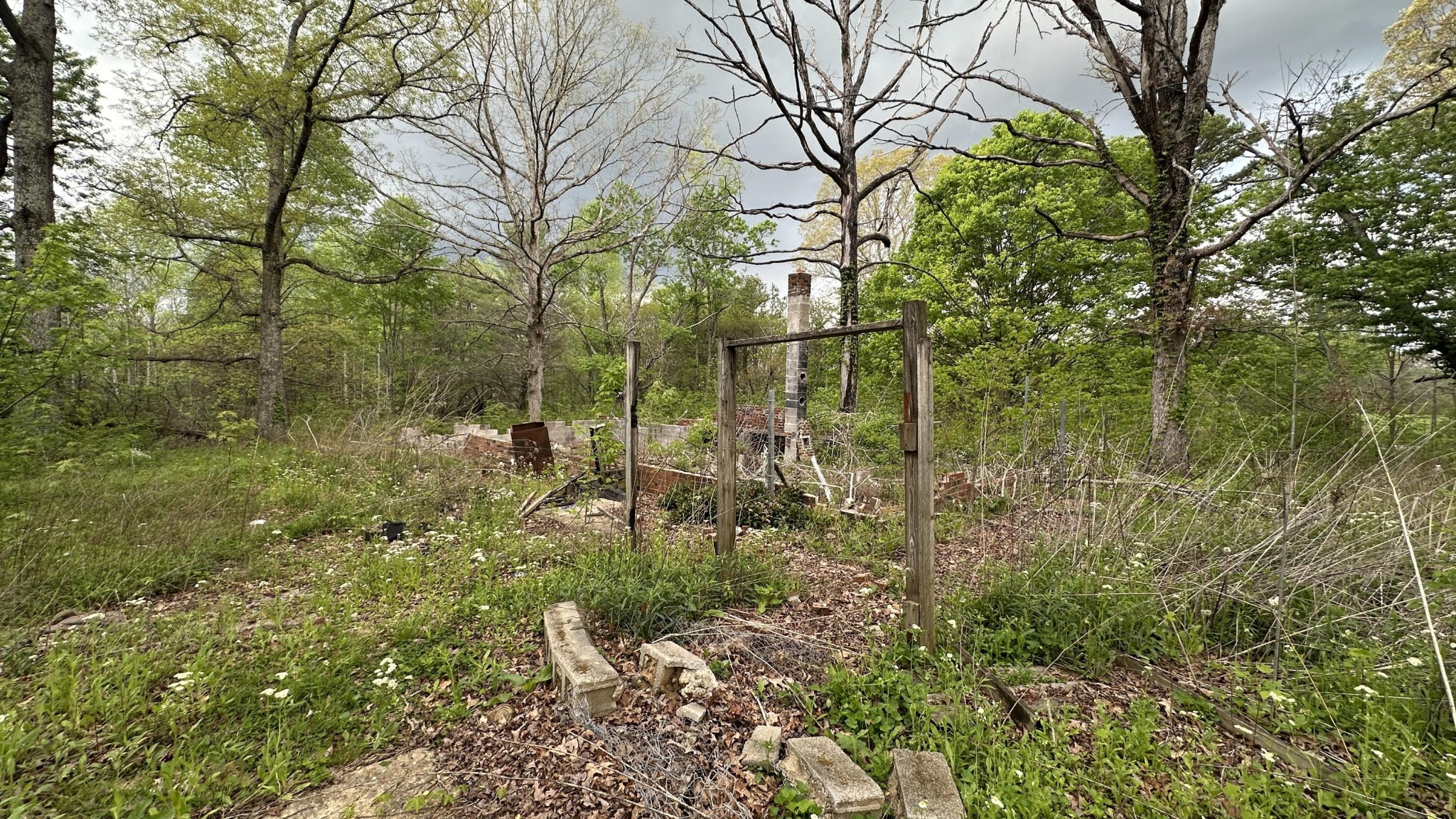 556 Lee Hargis Road Property Photo 2