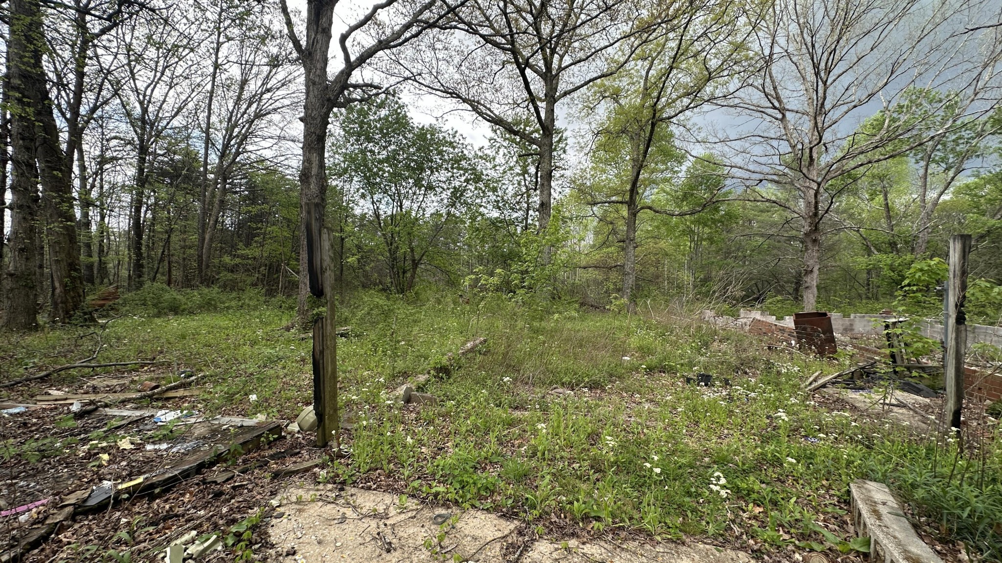 556 Lee Hargis Road Property Photo 4
