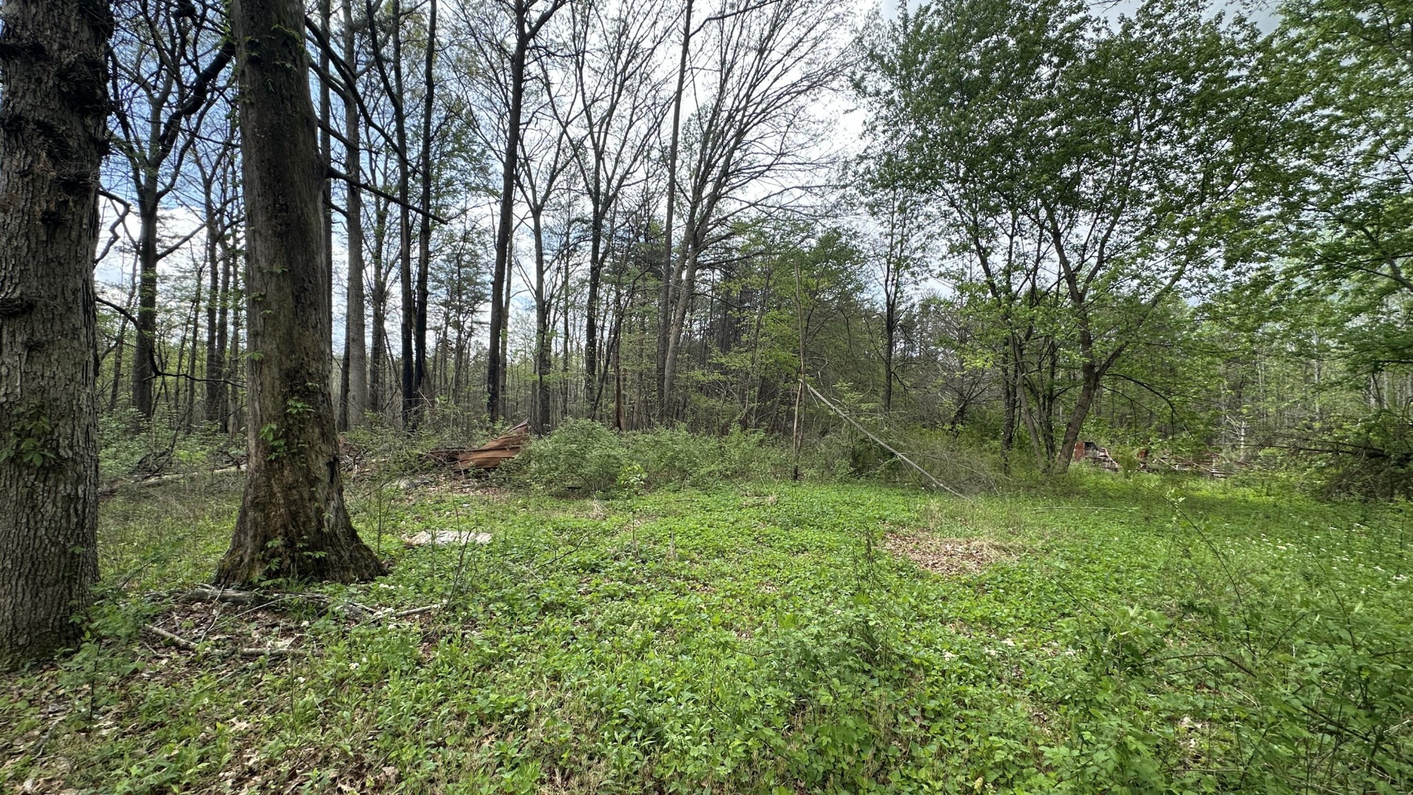 556 Lee Hargis Road Property Photo 6