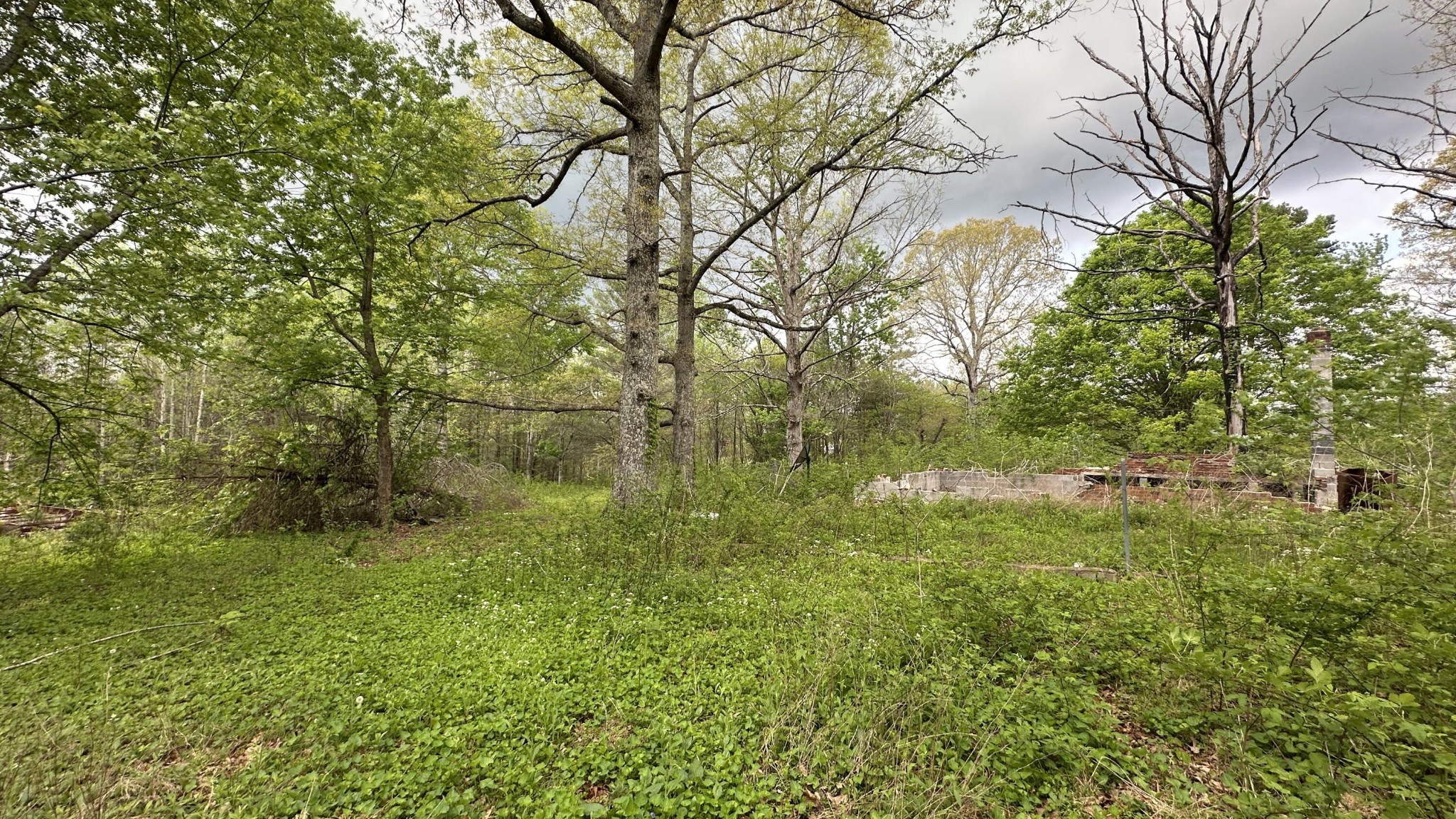 556 Lee Hargis Road Property Photo 7