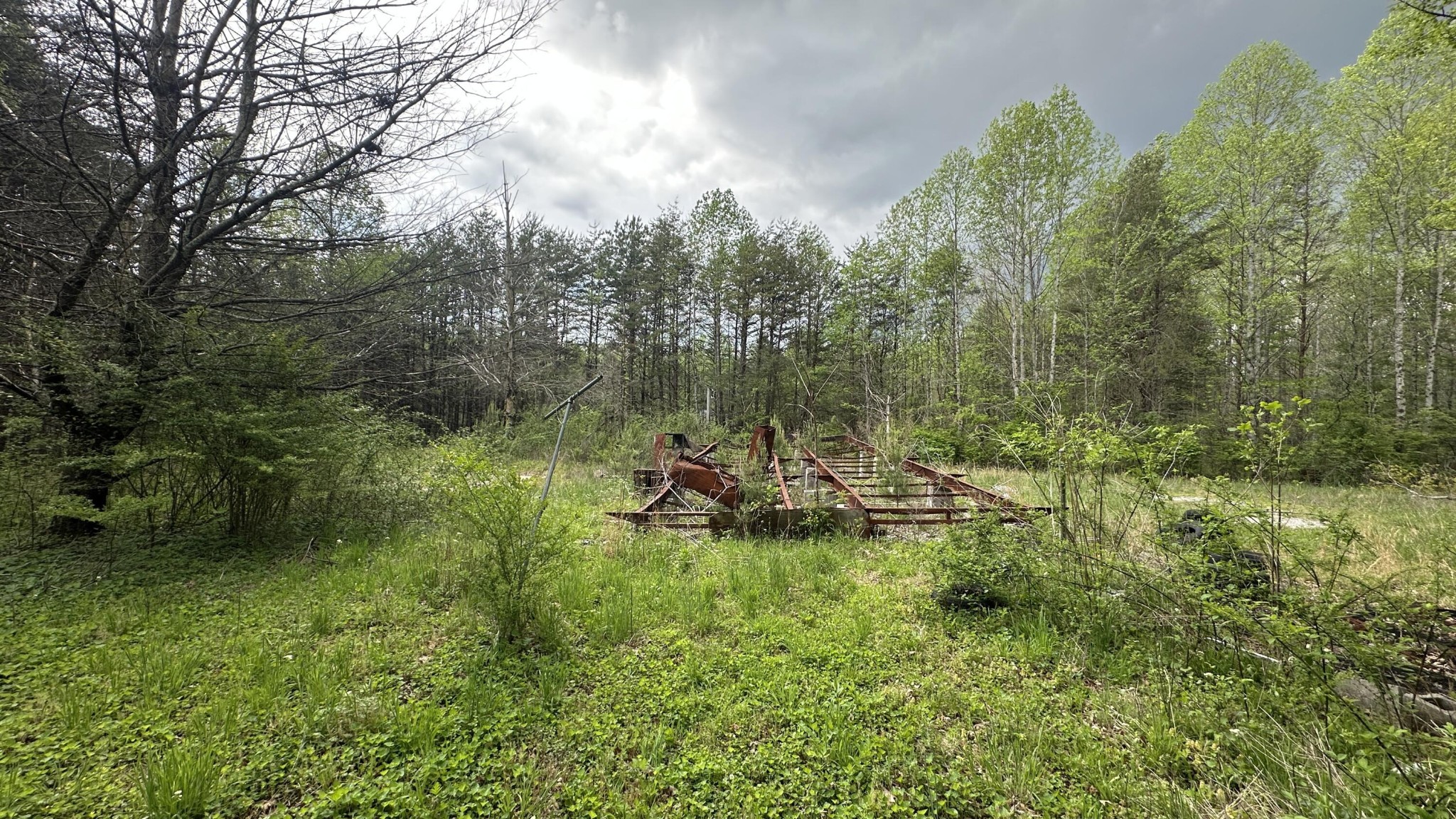 556 Lee Hargis Road Property Photo 9