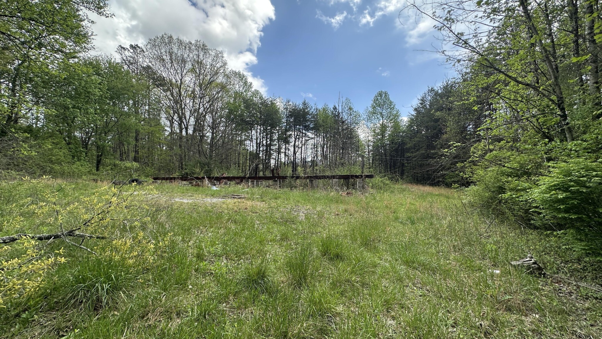 556 Lee Hargis Road Property Photo 10