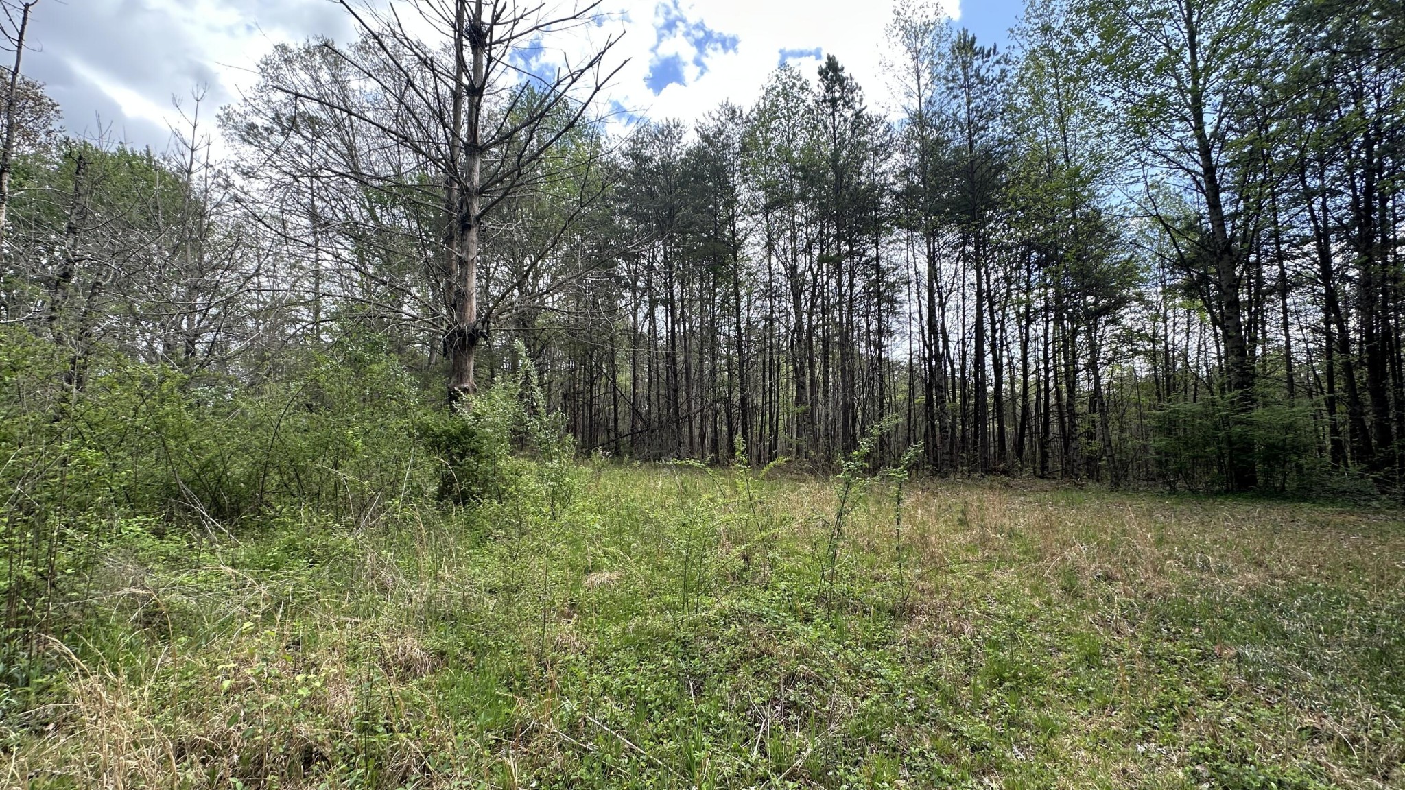 556 Lee Hargis Road Property Photo 11