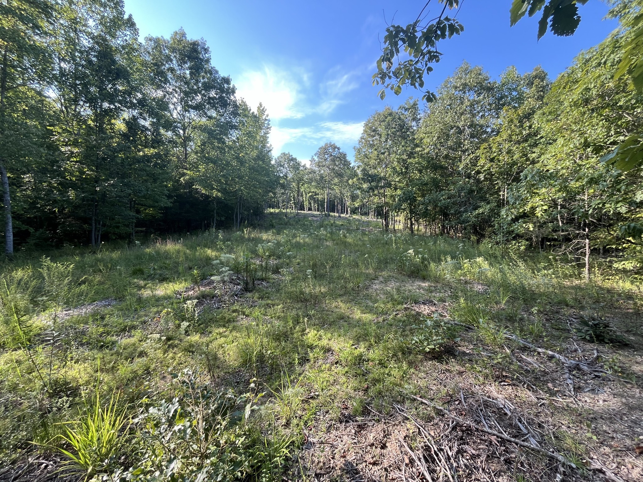 481 Hillbrook Dr Property Photo 3