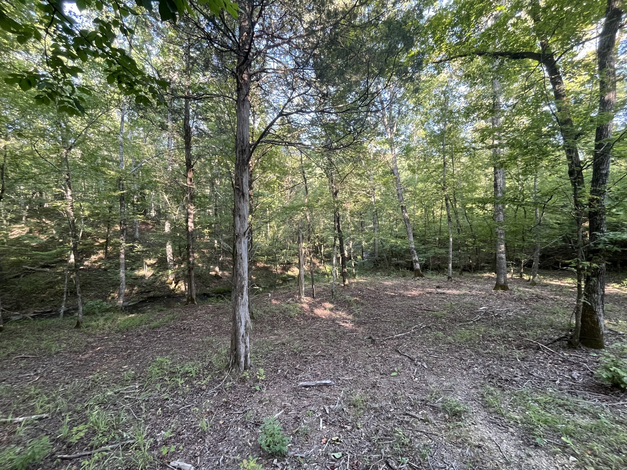 481 Hillbrook Dr Property Photo 7