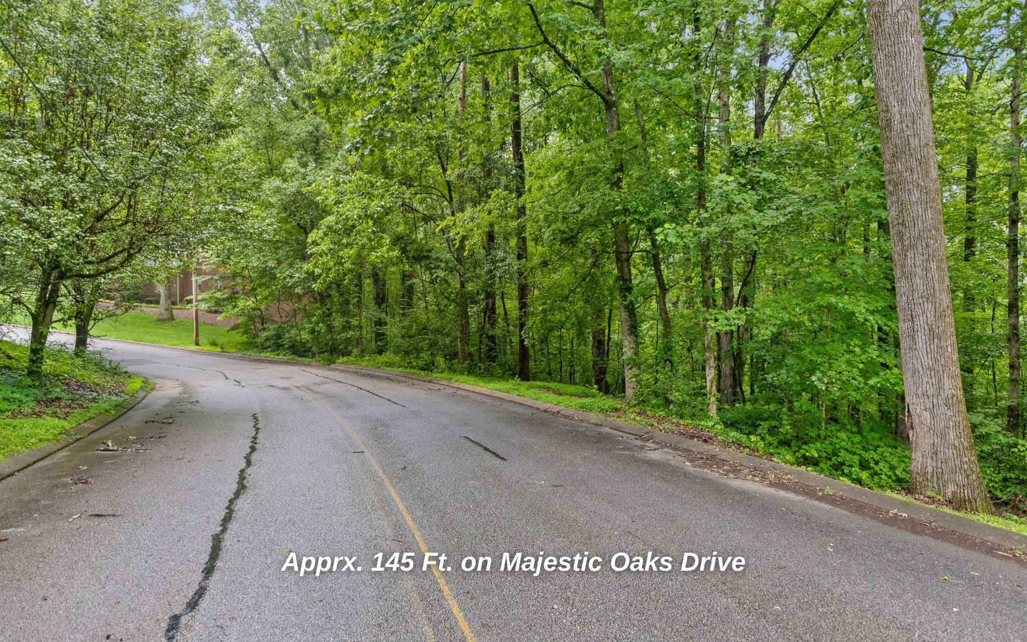 10 Majestic Oaks Drive Property Photo 10