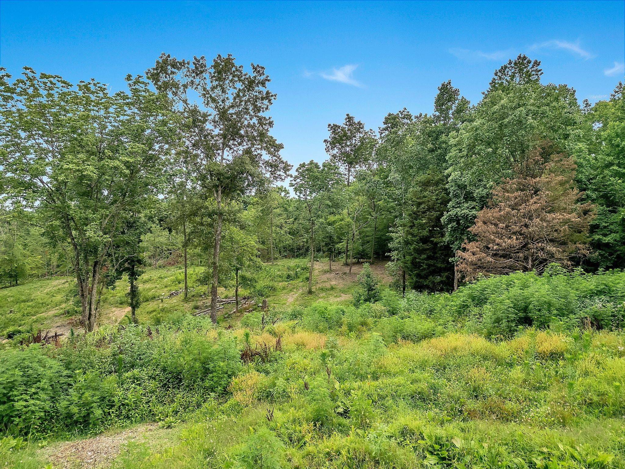 0 Red Oak Road Property Photo 3