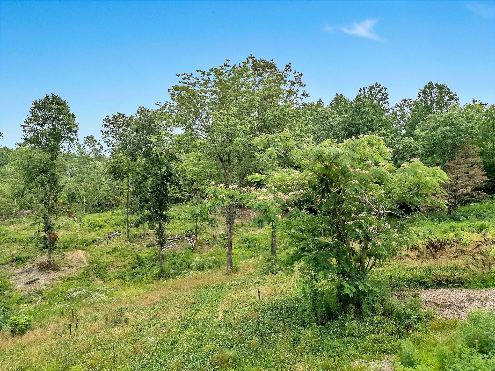 0 Red Oak Road Property Photo 5