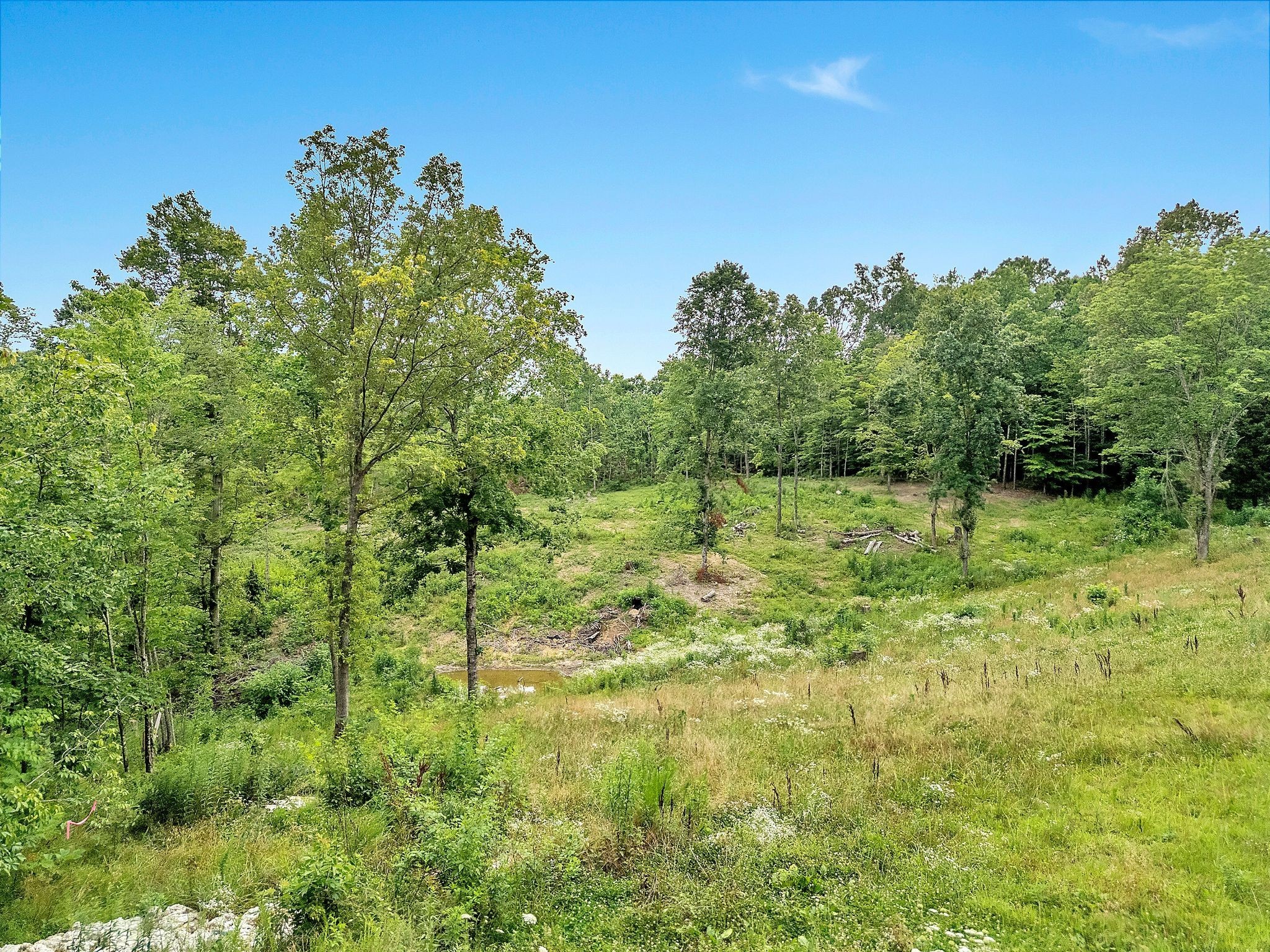 0 Red Oak Road Property Photo 6