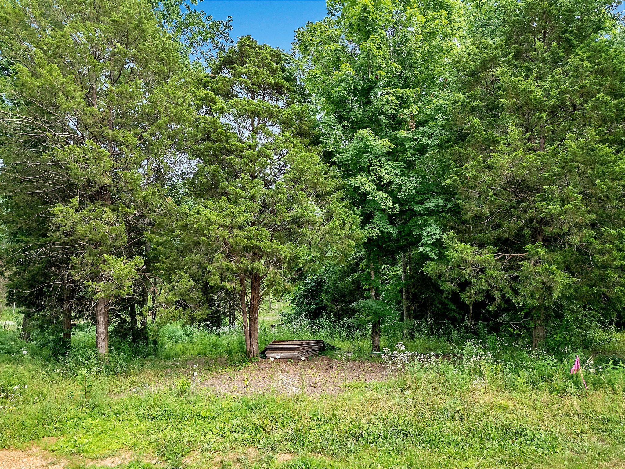 0 Red Oak Road Property Photo 8