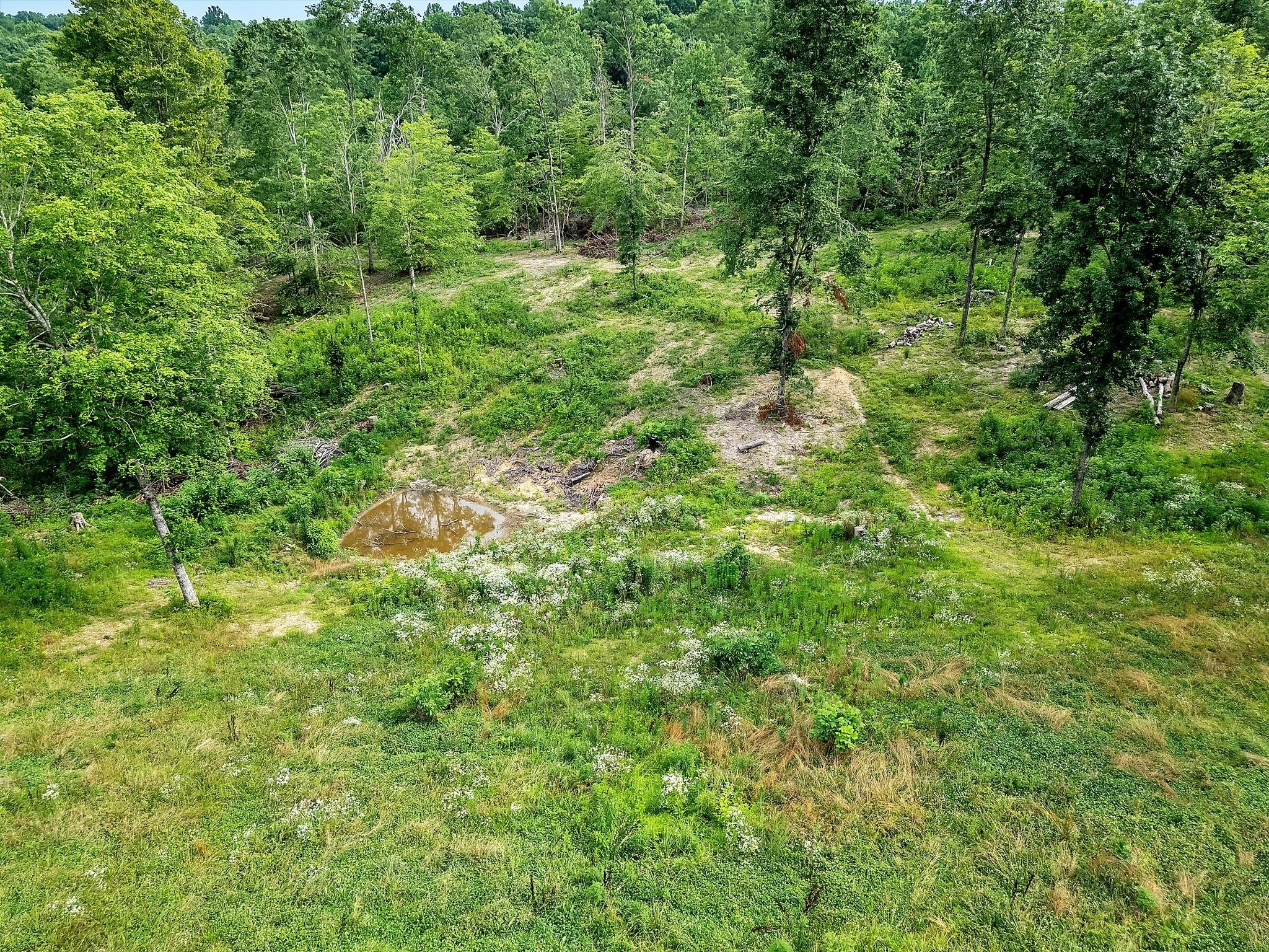 0 Red Oak Road Property Photo 10