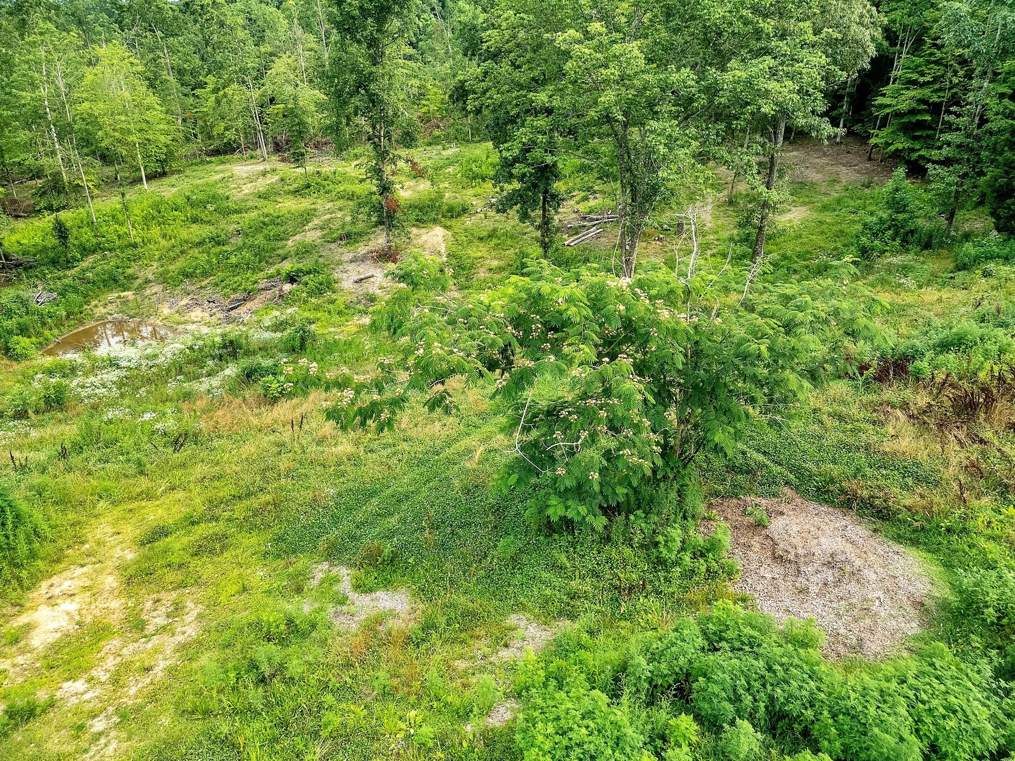 0 Red Oak Road Property Photo 12