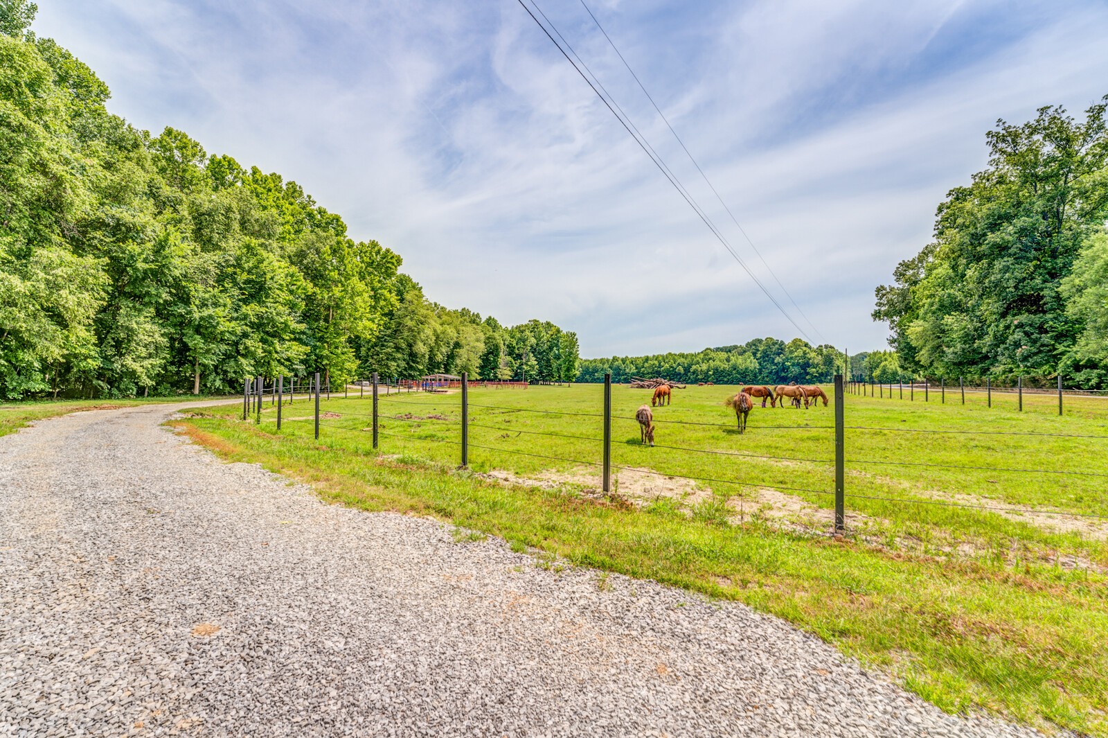 1225 Fields Dr Property Photo 8