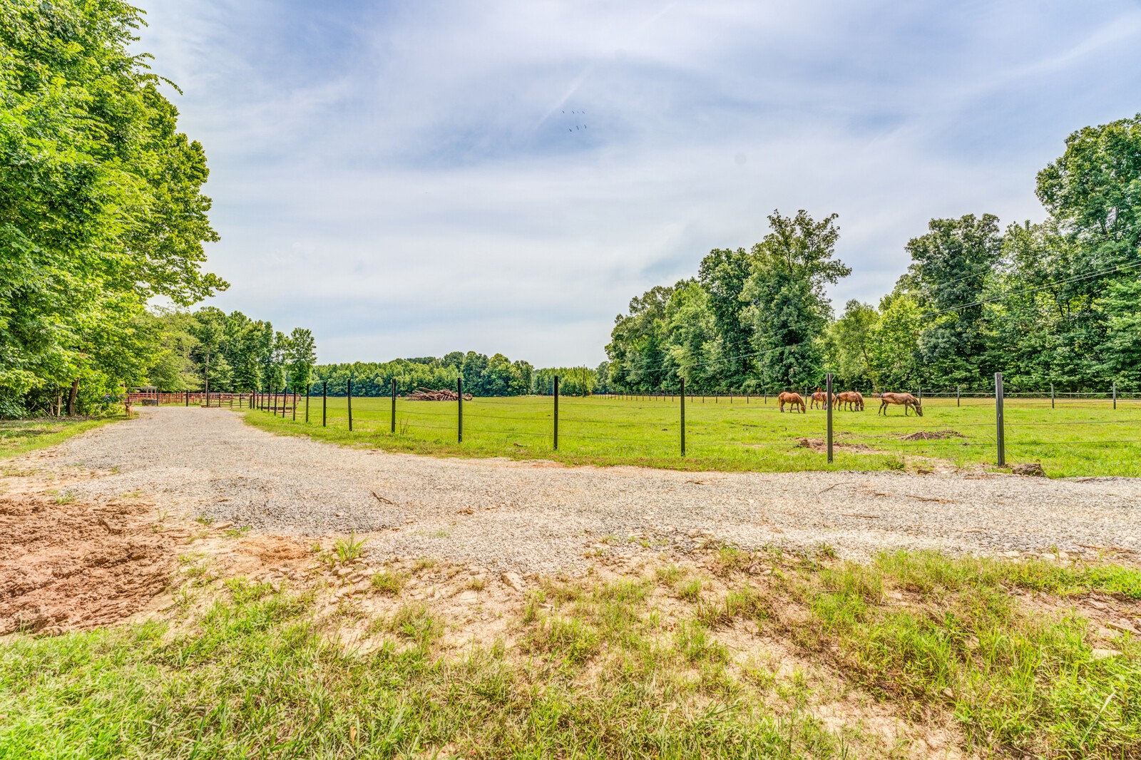 1225 Fields Dr Property Photo 9