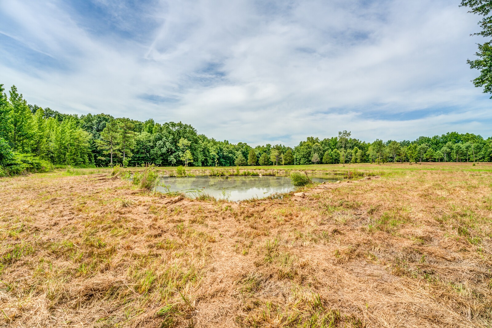 1225 Fields Dr Property Photo 12