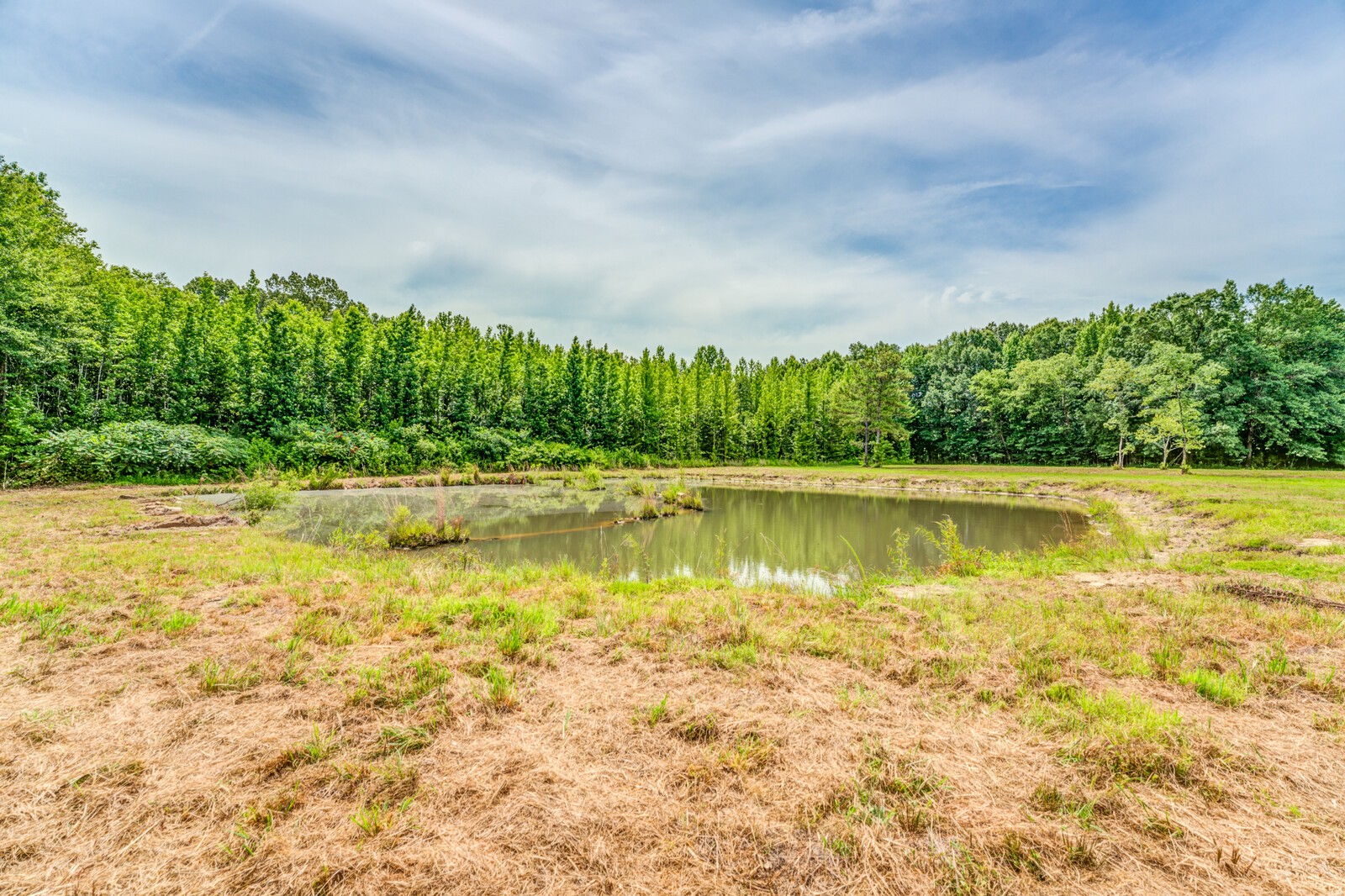 1225 Fields Dr Property Photo 13
