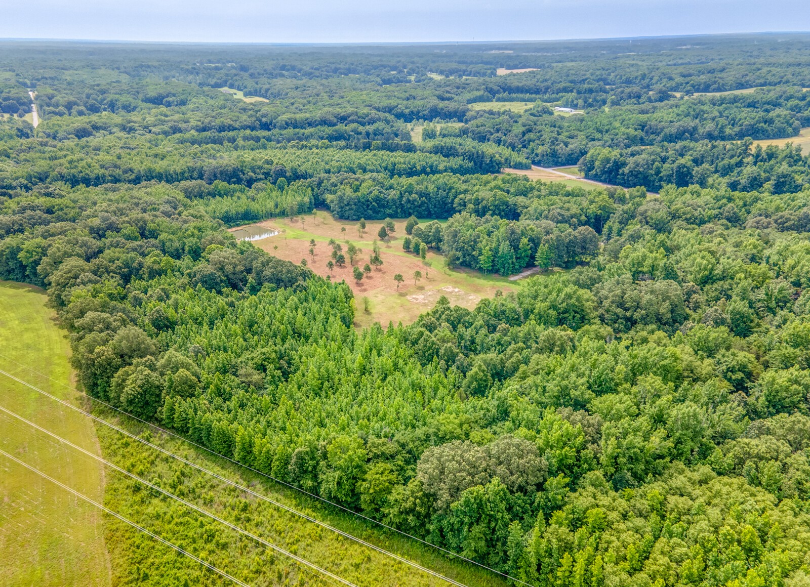 1225 Fields Dr Property Photo 15